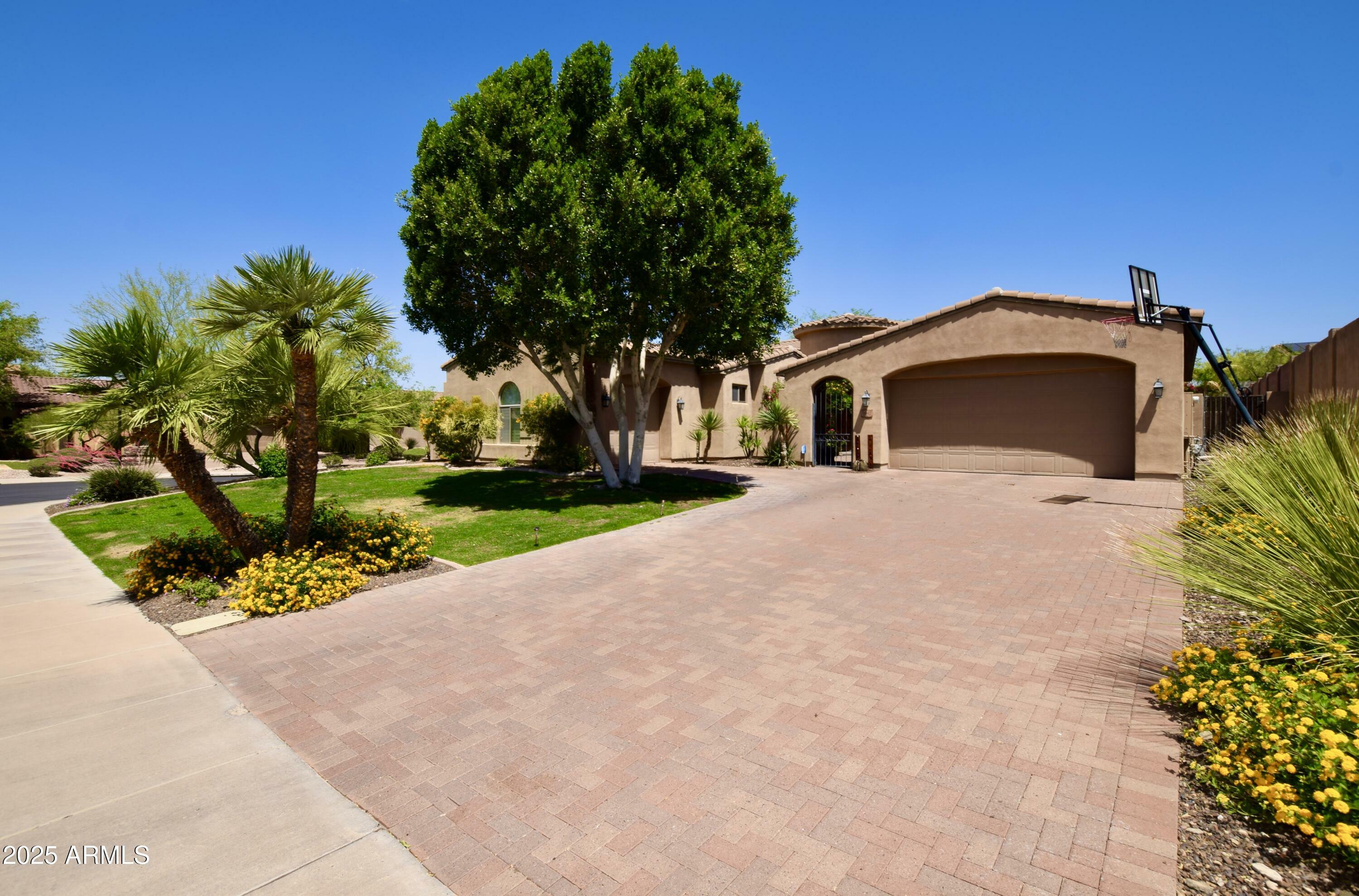 Property Photo: 9842 E Celtic Drive AZ 85260