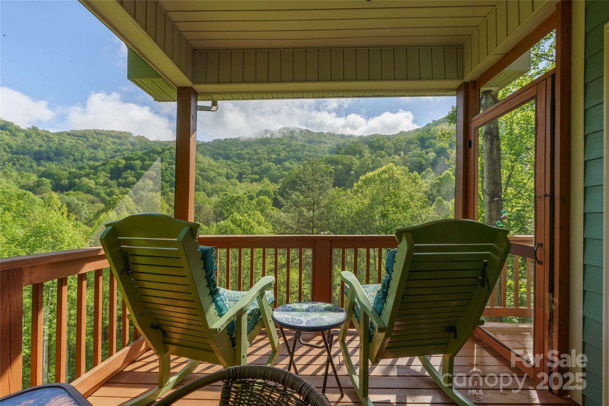 Property Photo:  332 Mystic Cove  NC 28785 