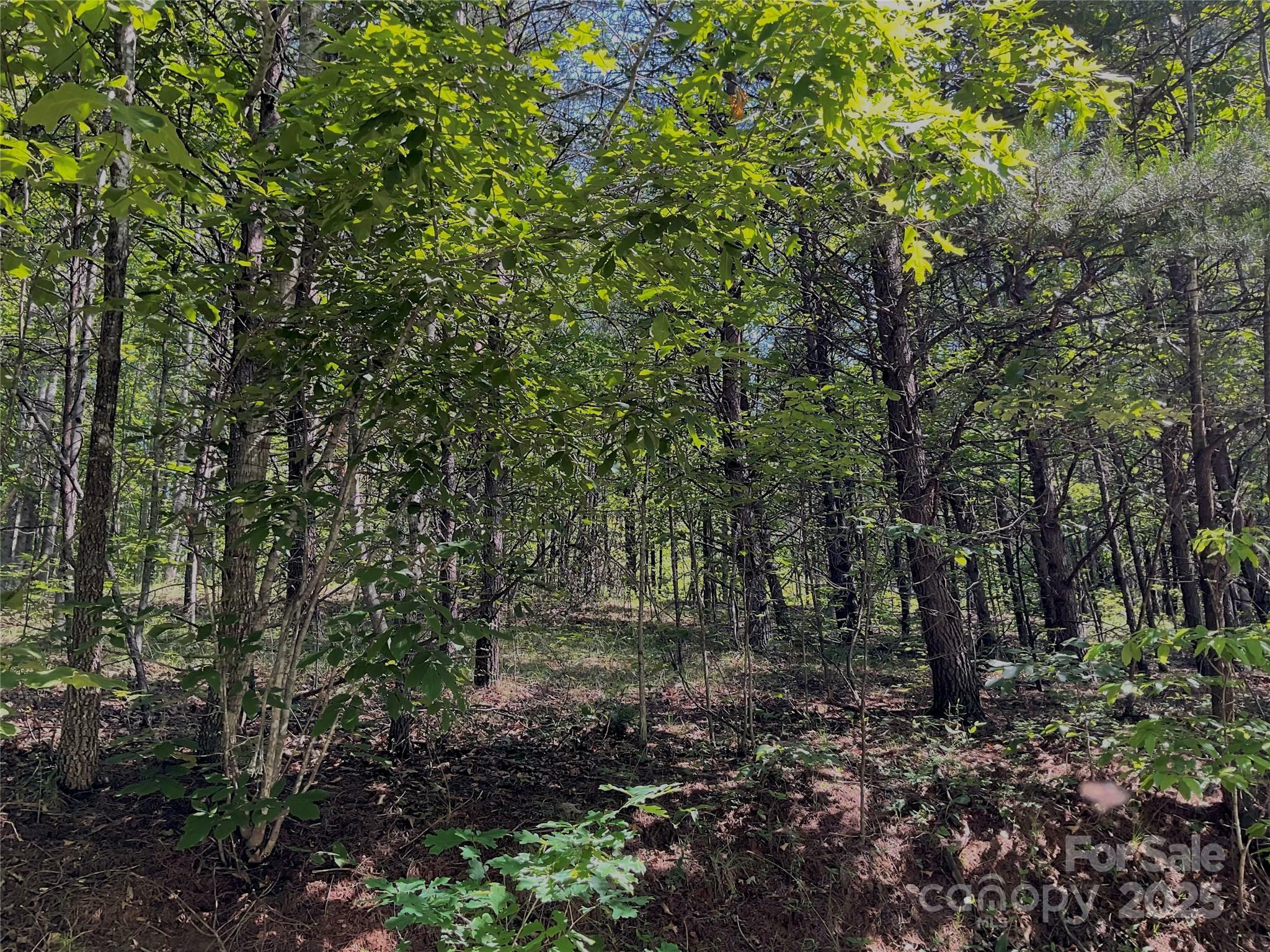 Property Photo: 0 Freemantown Road NC 28746