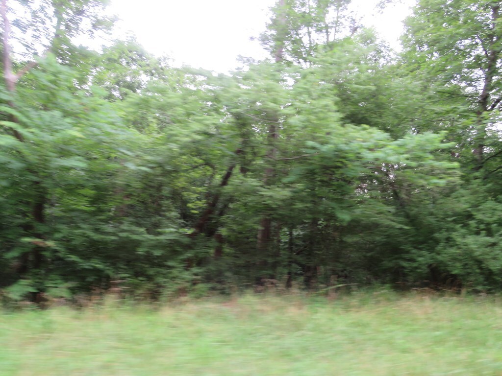 Property Photo:  00 Ky Rt 1624  KY 41219 