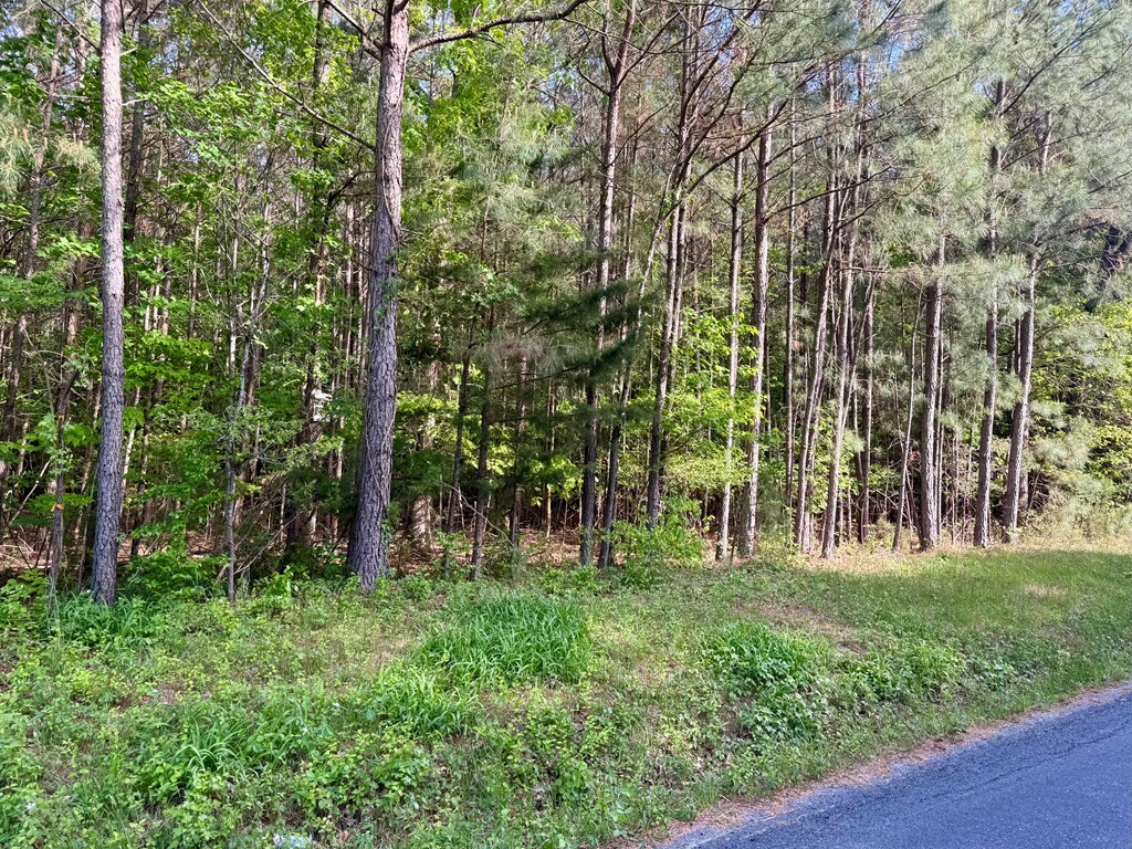 Property Photo: Lot C Seaside Rd VA 23420