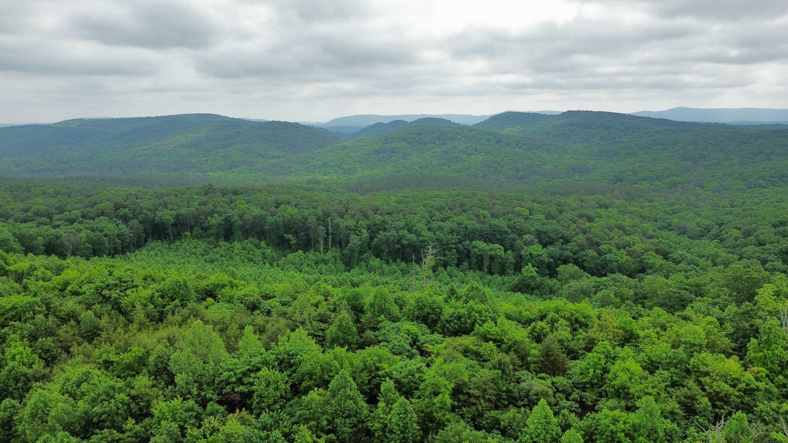 Property Photo: 0 Hwy 151 GA 30736