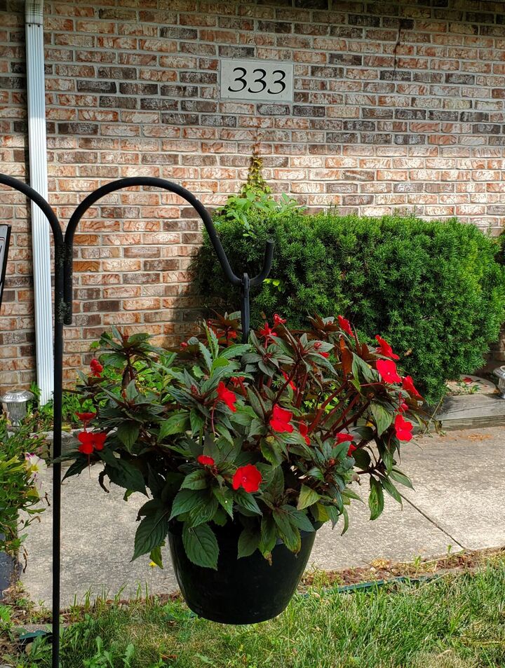 Property Photo: 333 Mt Jackson Avenue IN 46304