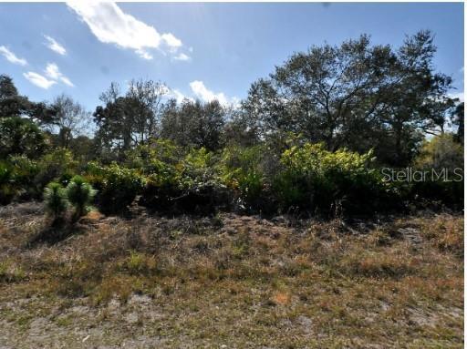 Property Photo:  Danton Terrace  FL 34288 
