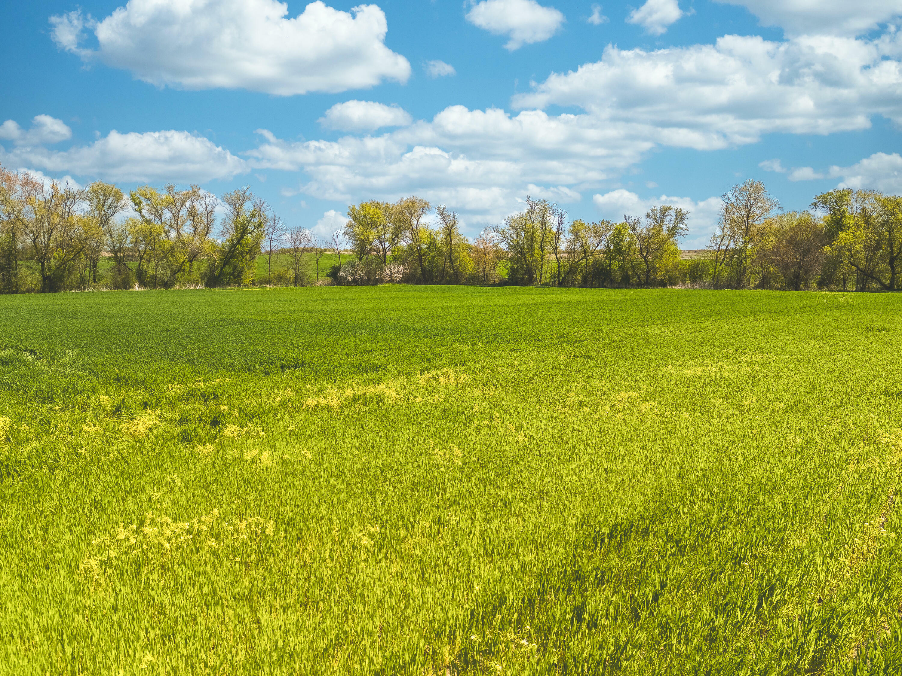 Property Photo: