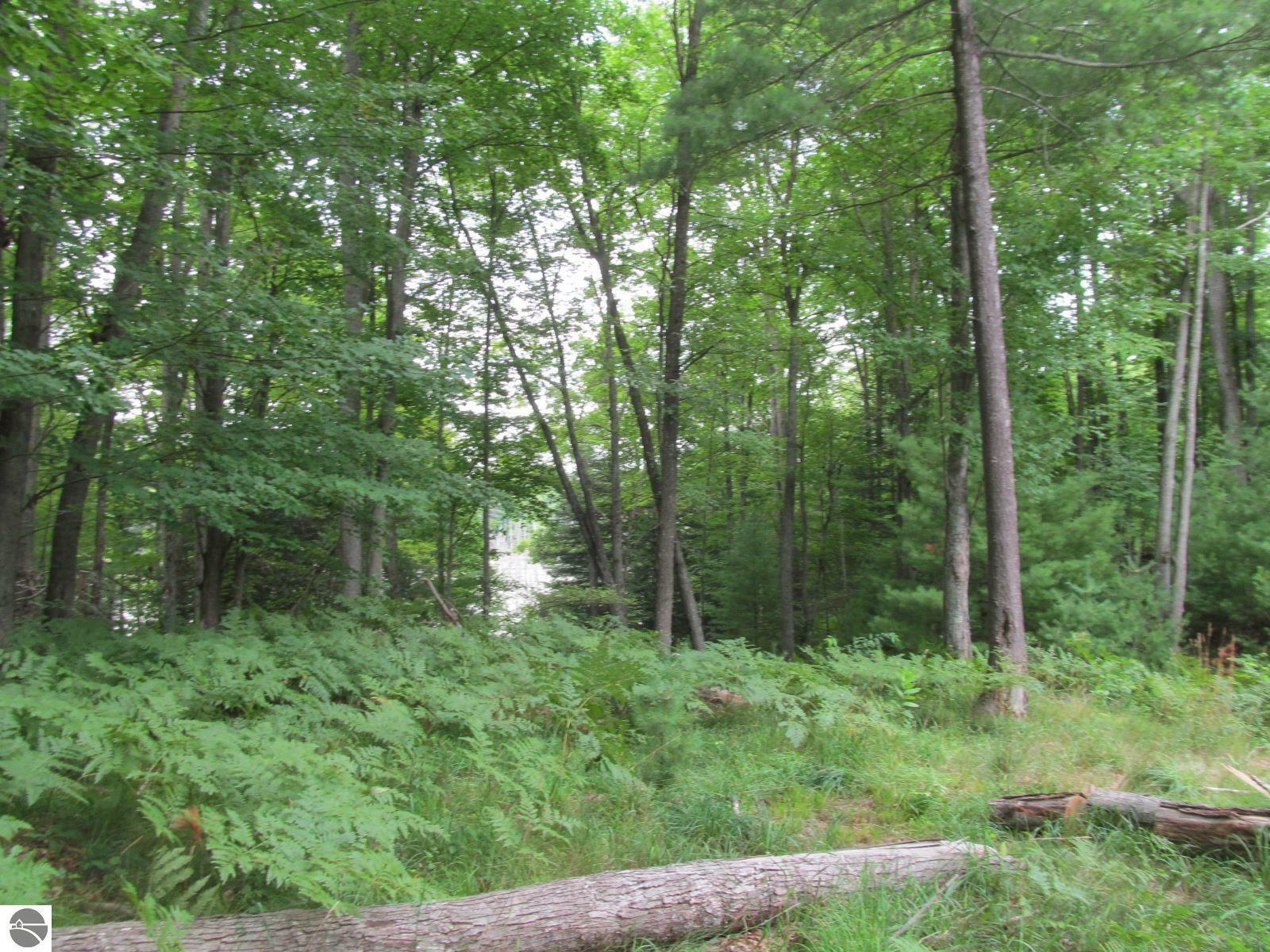 Property Photo: 00 S 47 3/4 Road Forest Dr. MI 49601