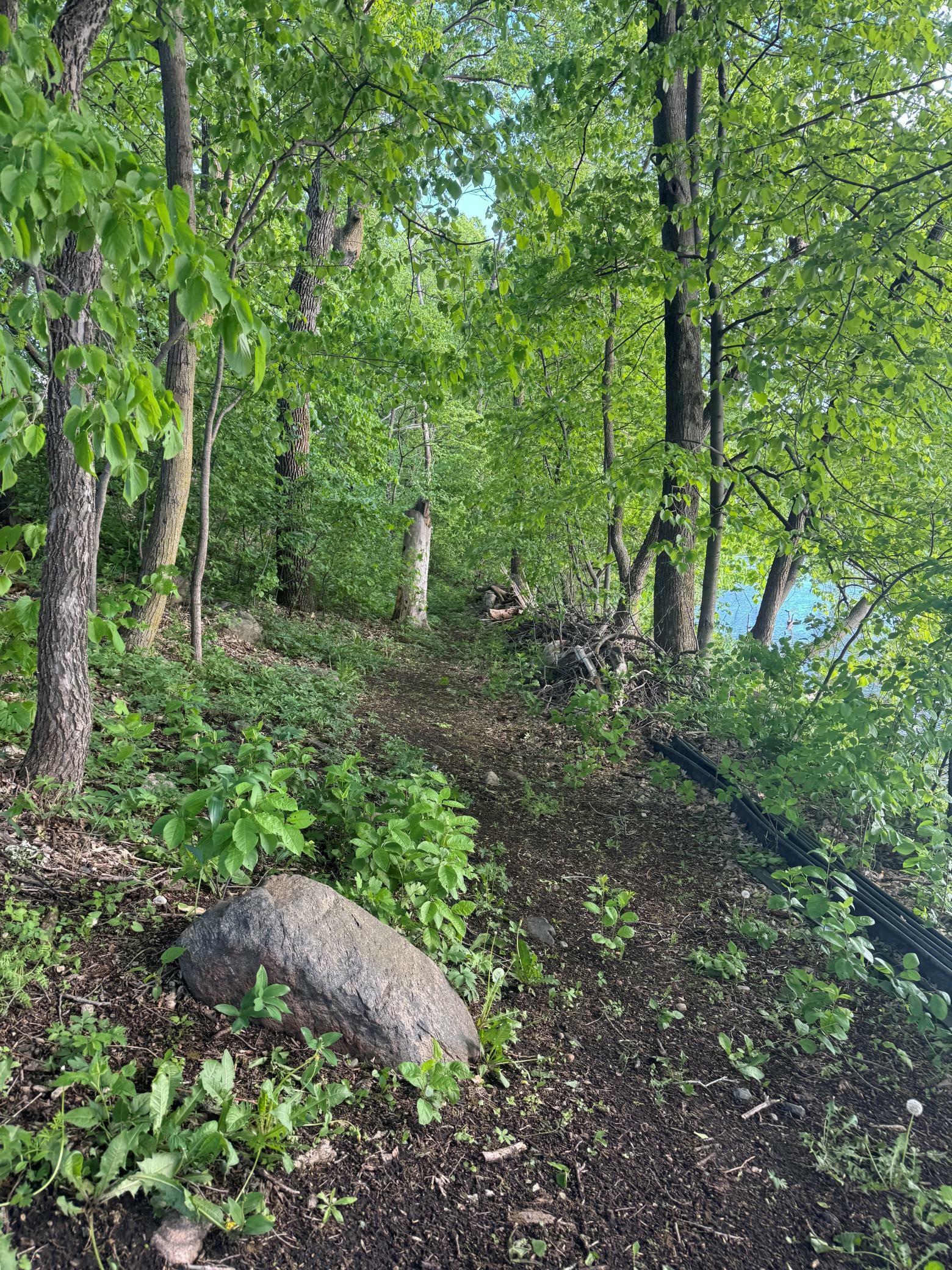 Property Photo: Lot 1 Block 1 746th Avenue MN 55325