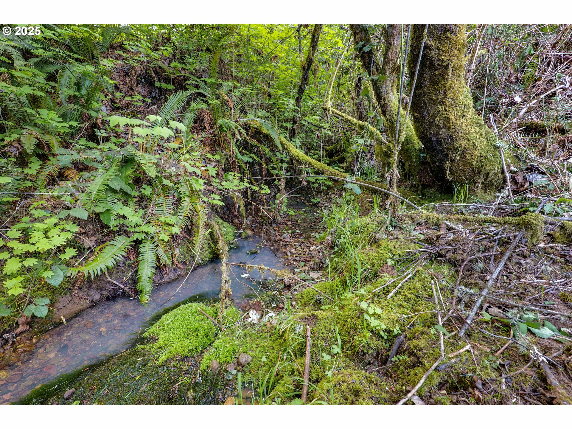 Property Photo: 30606 Butterfly Ln OR 97405