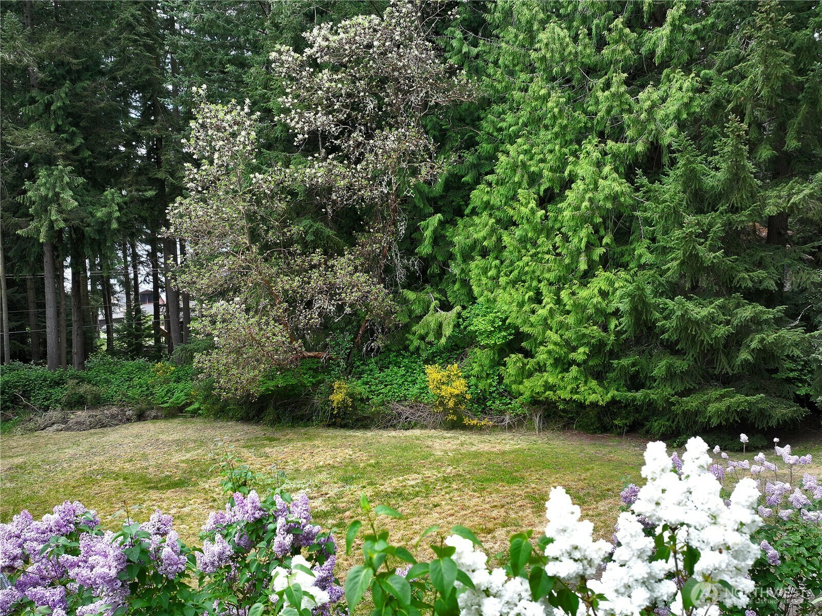 0  April Drive  Langley WA 98260 photo