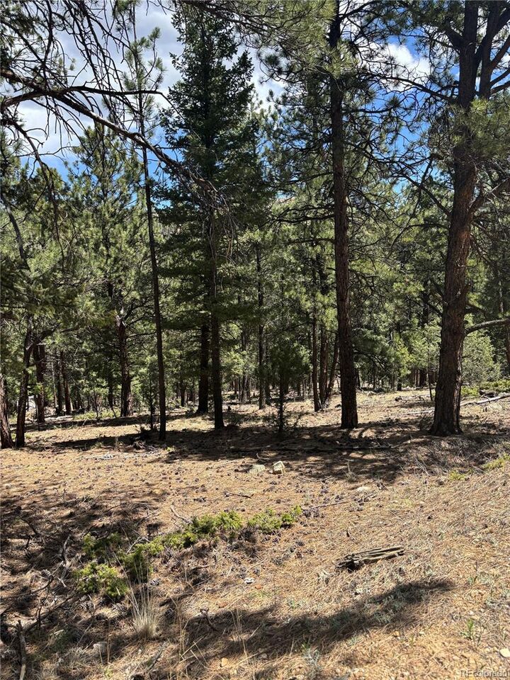 54 Holmes Gulch Road  Bailey CO 80421 photo