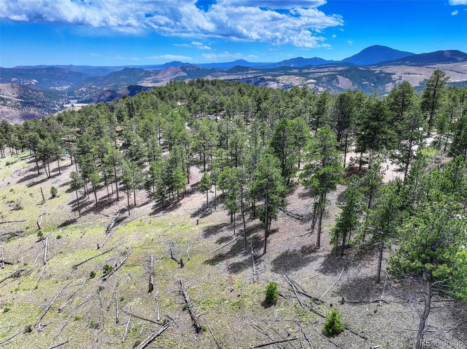 Property Photo:  54 Holmes Gulch Road  CO 80421 