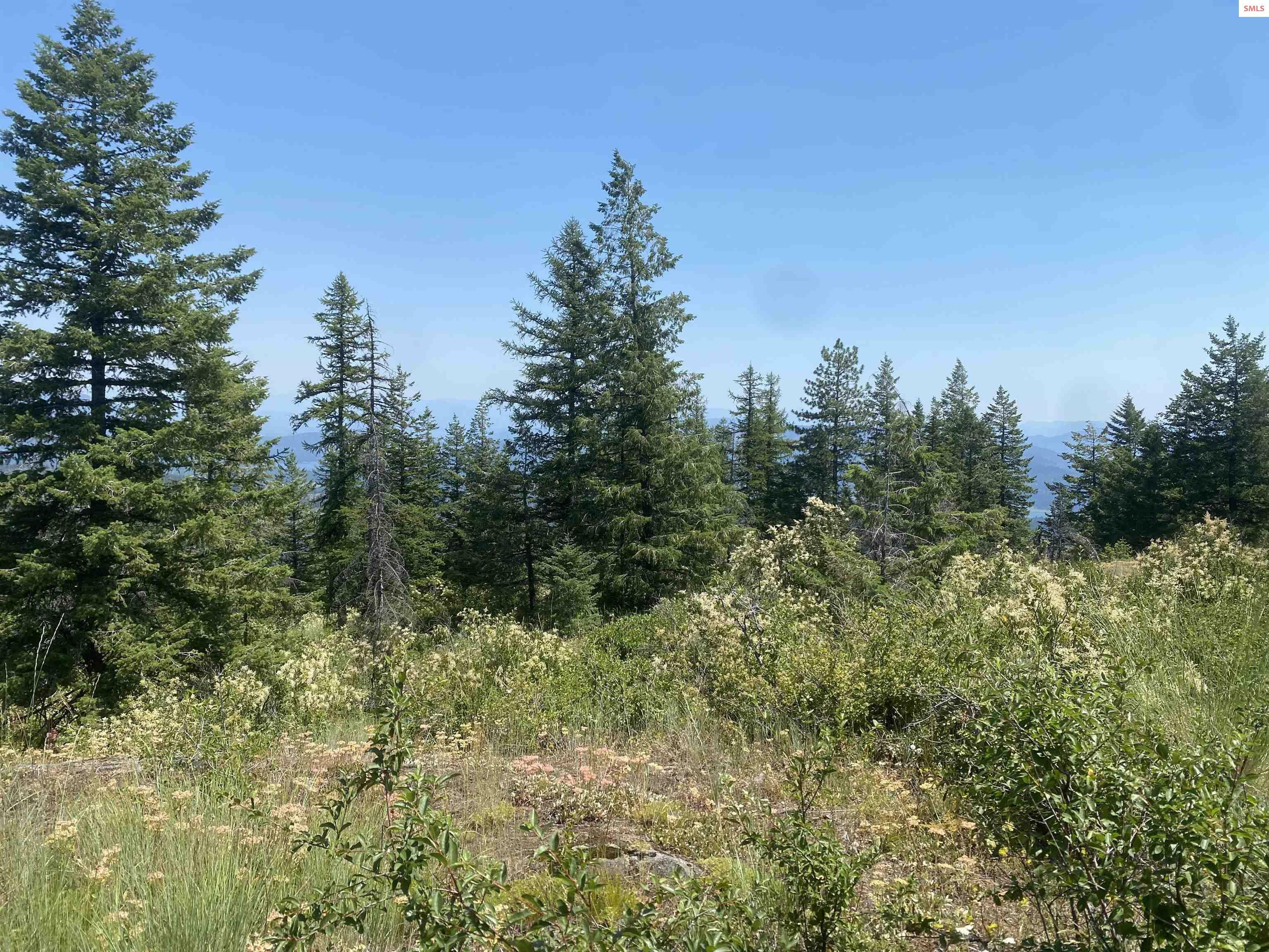 Property Photo: Nna (4801) Upper Manley Creek Rd. ID 83841