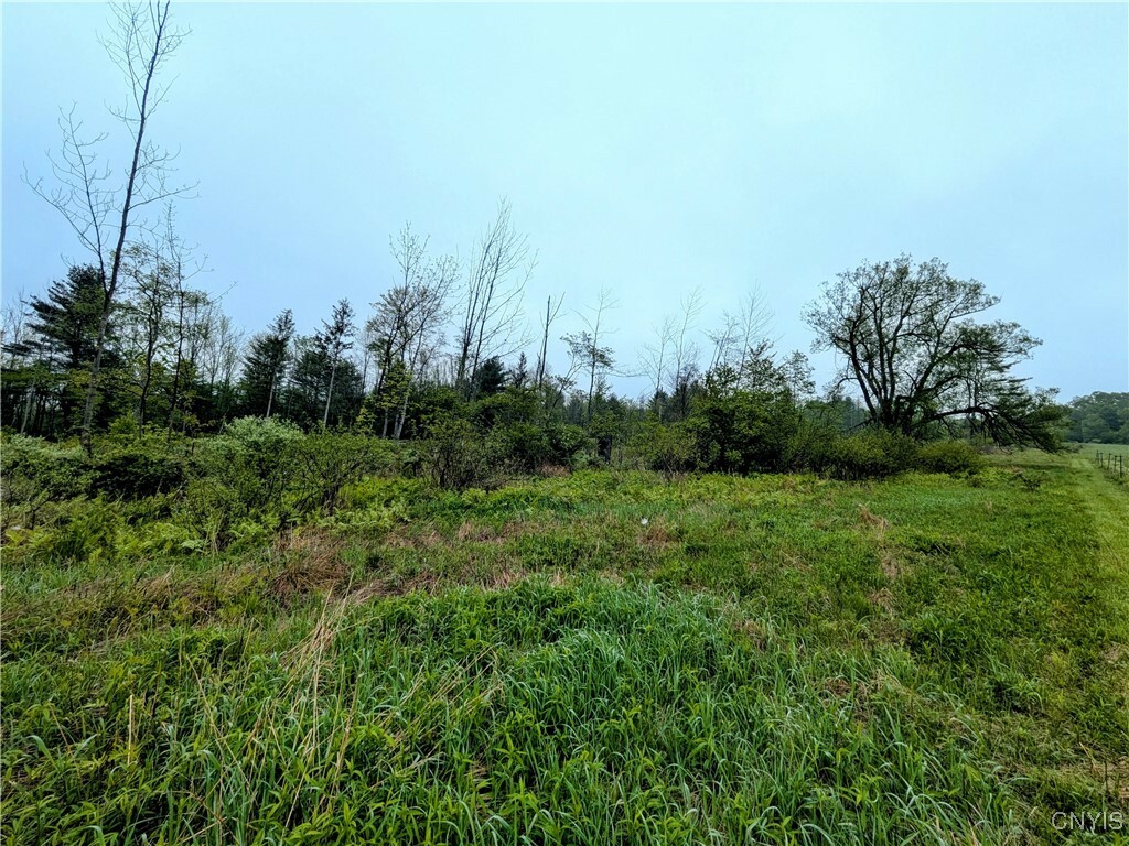 0 Maricle Rd. Road  Cincinnatus NY 13040 photo