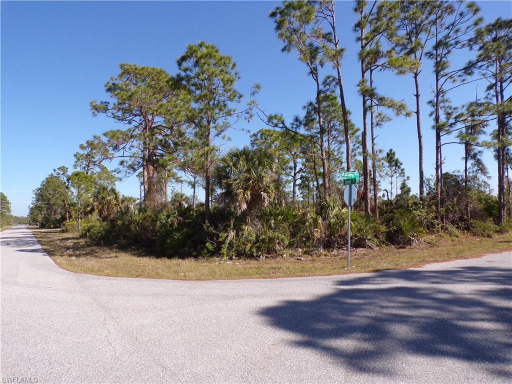 Property Photo: 12070 Ashley Ave FL 33981