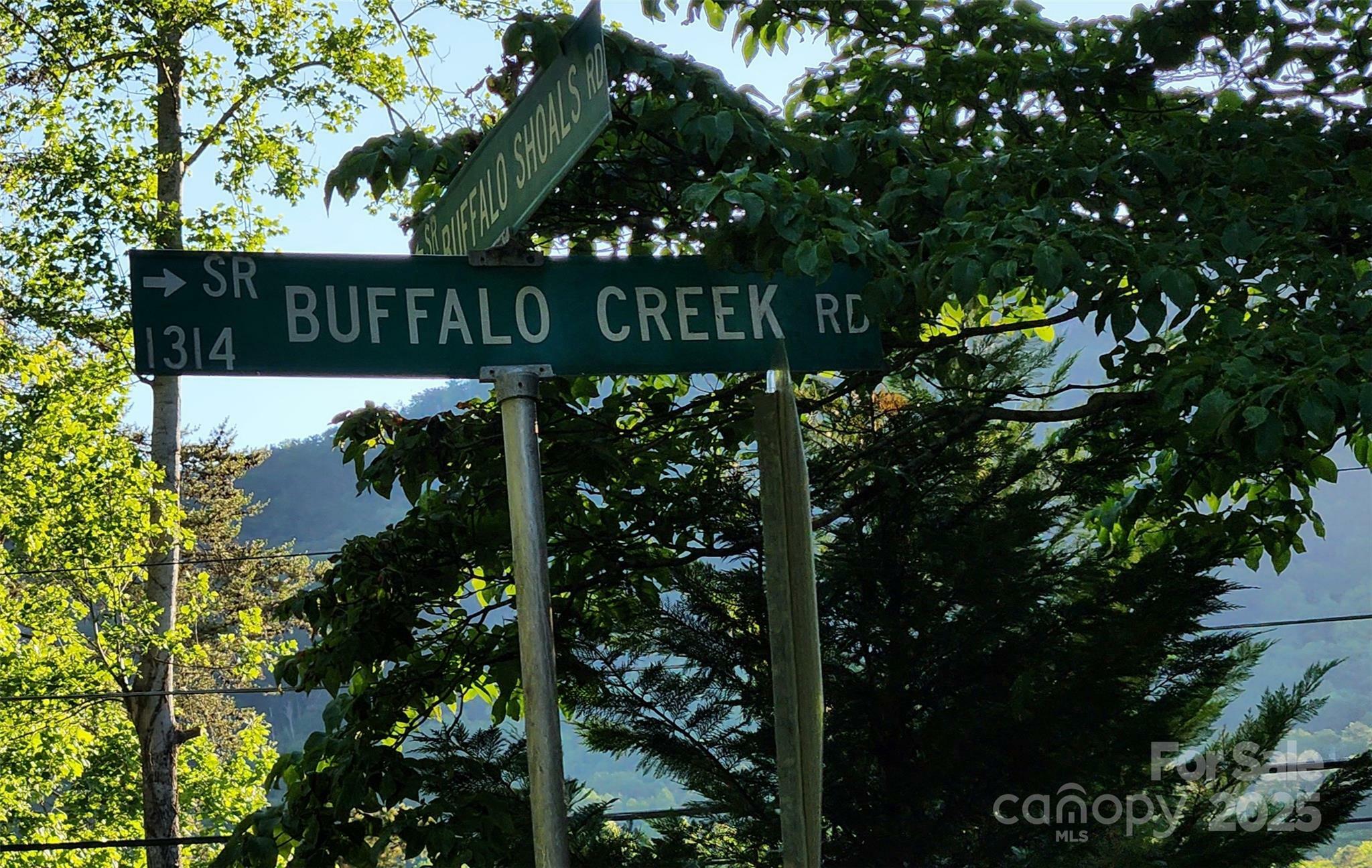 Property Photo: 0 Buffalo Creek Road 74 NC 28746