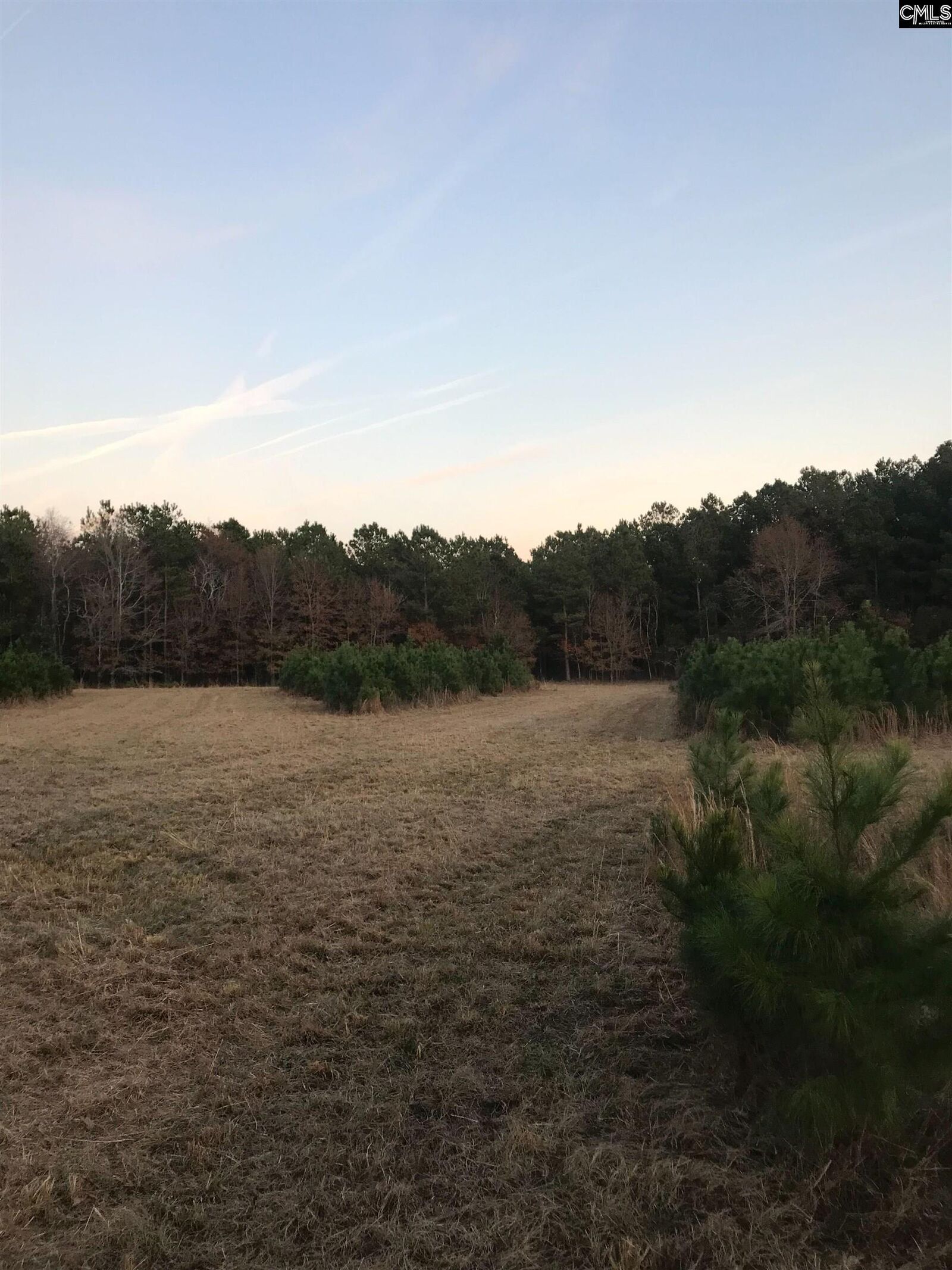 Property Photo:  0 Basil  SC 29160 