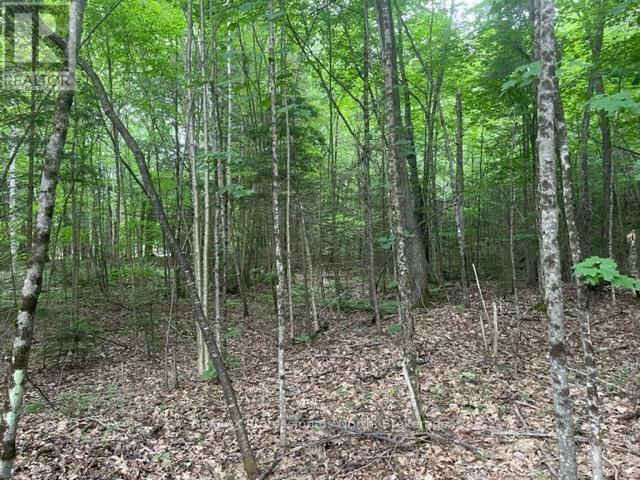 Property Photo:  0 Big Hawk Lake Road  ON K0M 1S0 