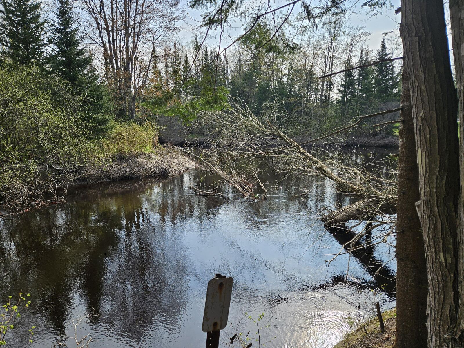 Property Photo:  0000 Ten Curves Rd  MI 49853 