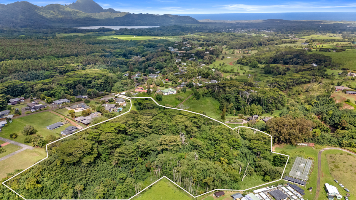 Omao Rd  Koloa HI 96756 photo