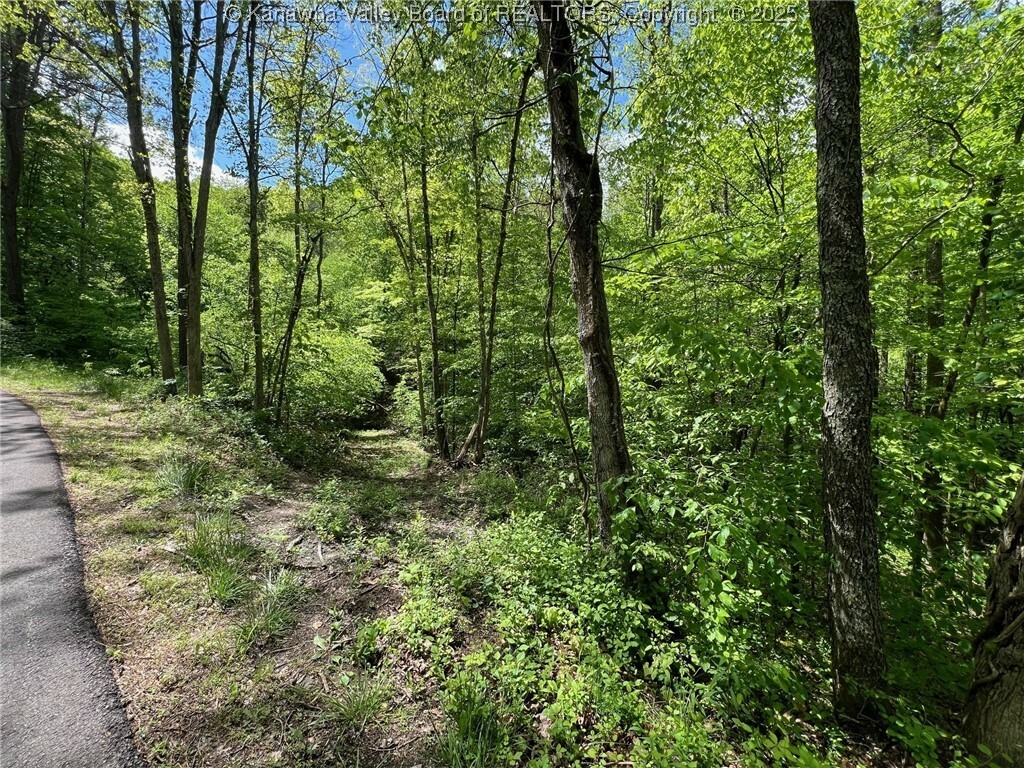 Property Photo: 0 Crooked Creek Road WV 25309