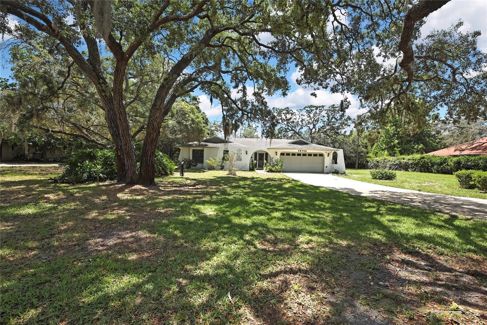 Property Photo:  12722 Oak Tree Drive  FL 34667 