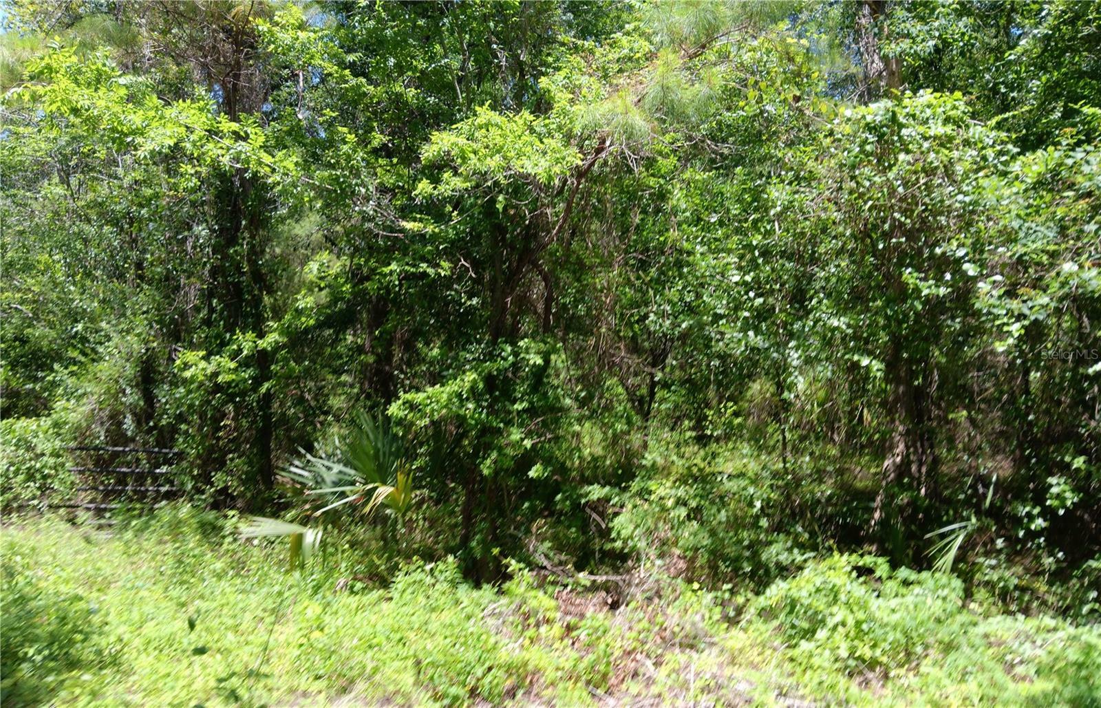 Property Photo:  00 NW 82 Court  FL 34482 