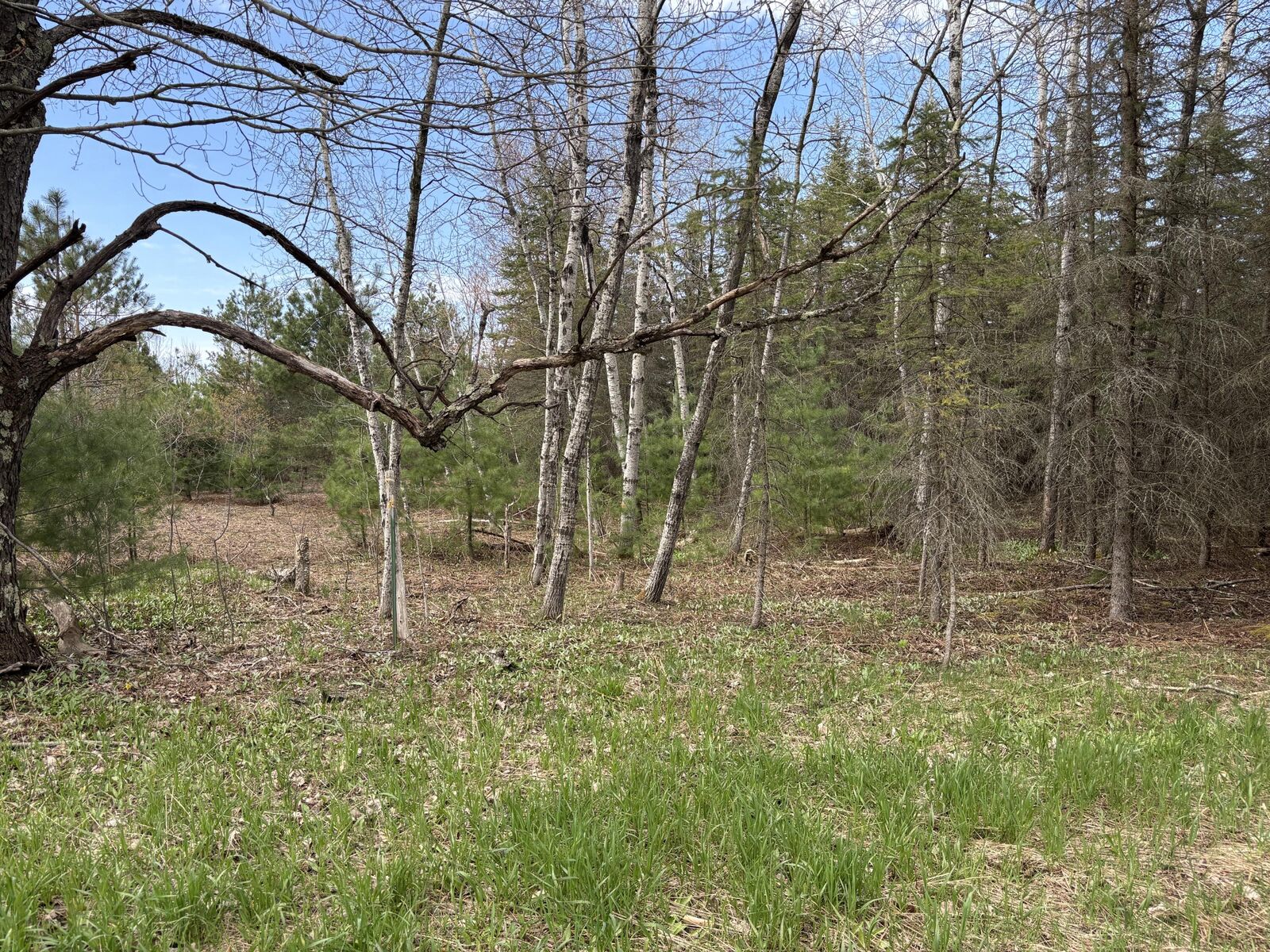 Property Photo: 001 Adams Road MI 49625