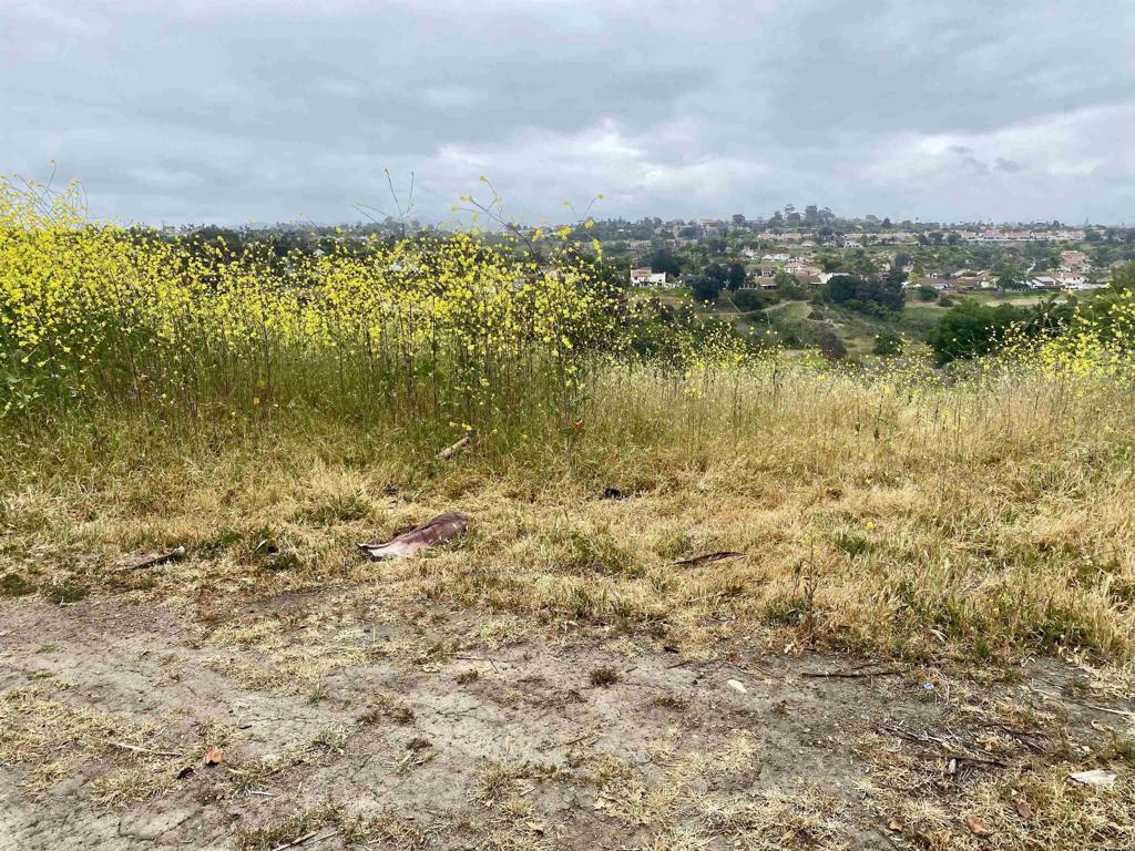 Property Photo: 0 Oceanview Road CA 92056