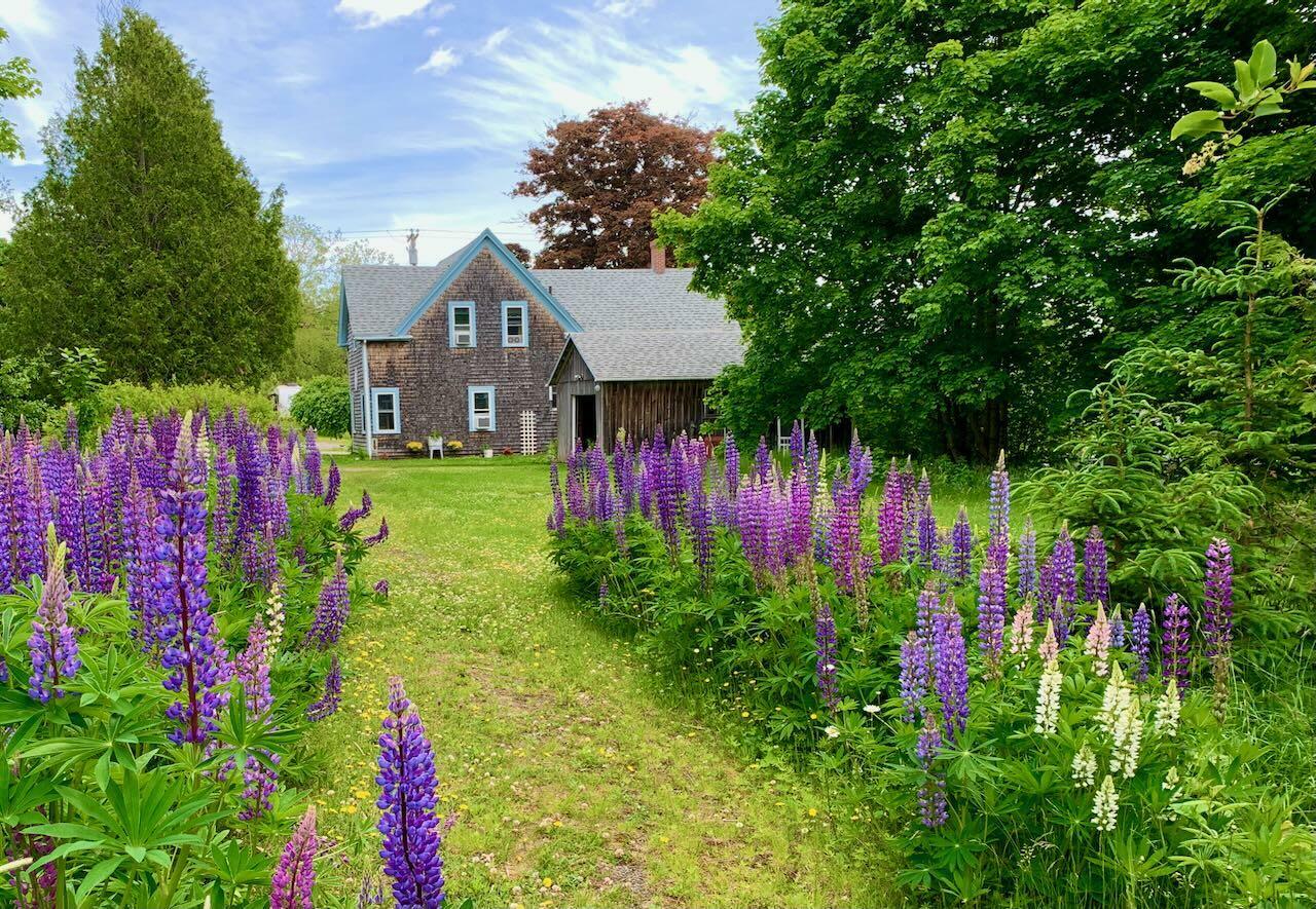 Property Photo:  412 N Lubec Road  ME 04652 