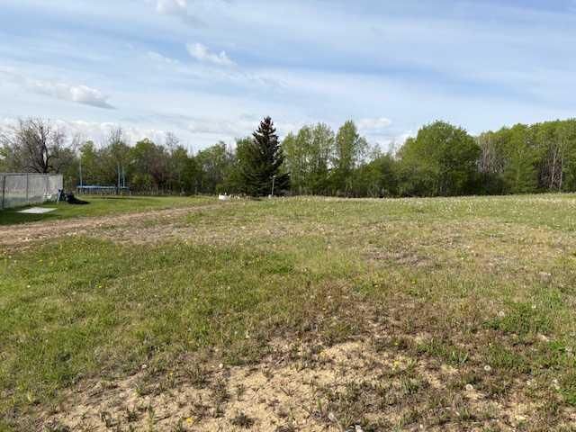 Property Photo:  4308 Meadow Lane  AB T0B 1V0 