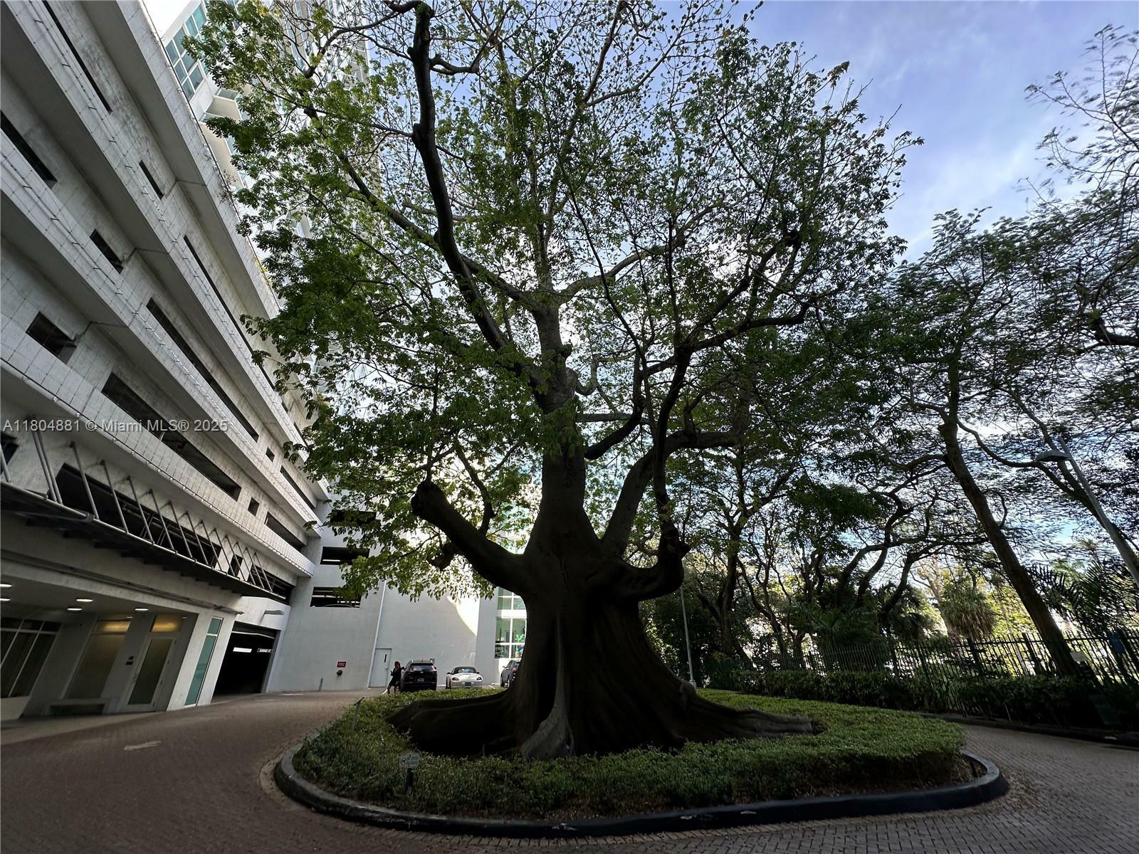 Property Photo: 1861 NW S River Dr 1007 FL 33125