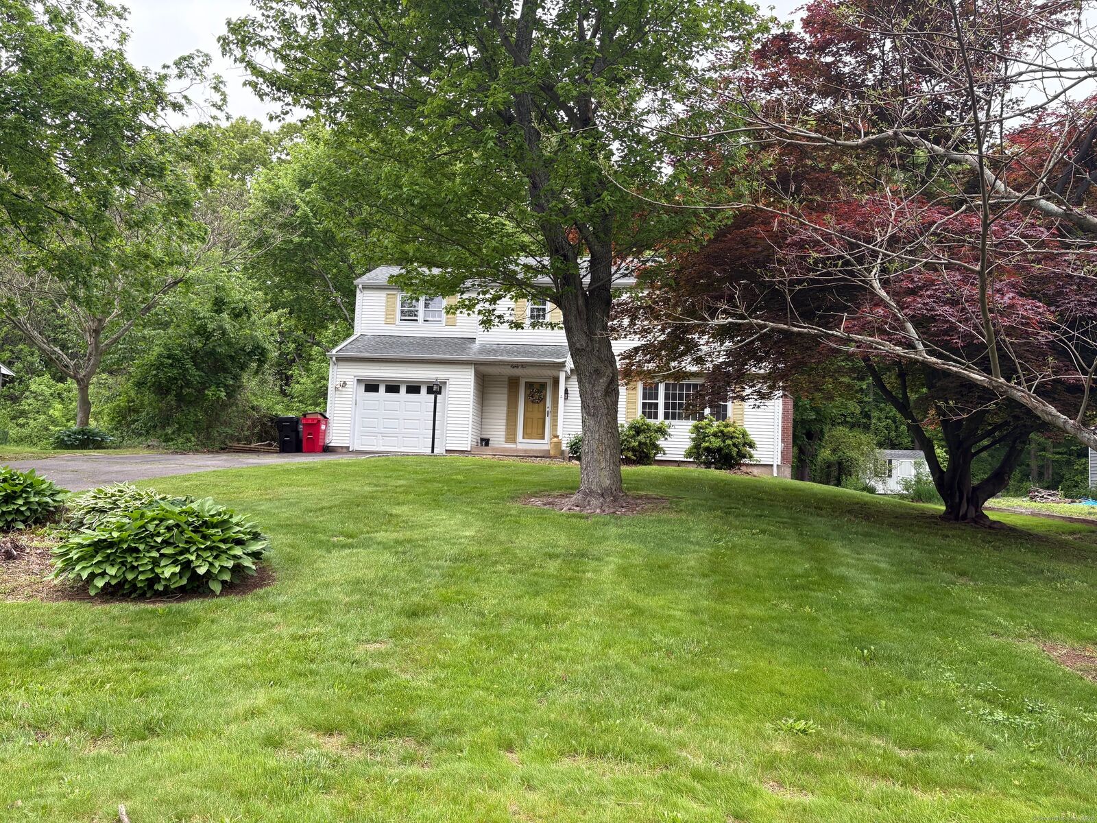 Property Photo:  85 Elmwood Drive  CT 06450 