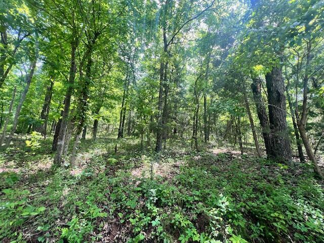 Tbd Missouri Line Road  Mammoth Spring AR 72554 photo