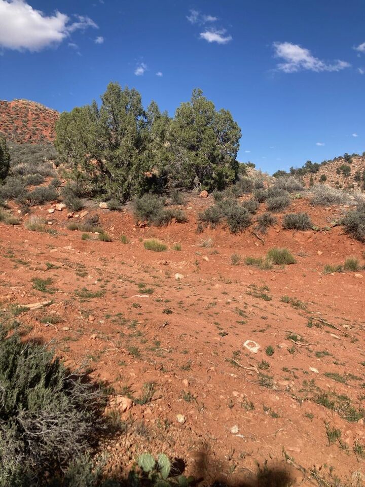 Property Photo:  1 Acre Eagle Crags Rd  UT 84763 