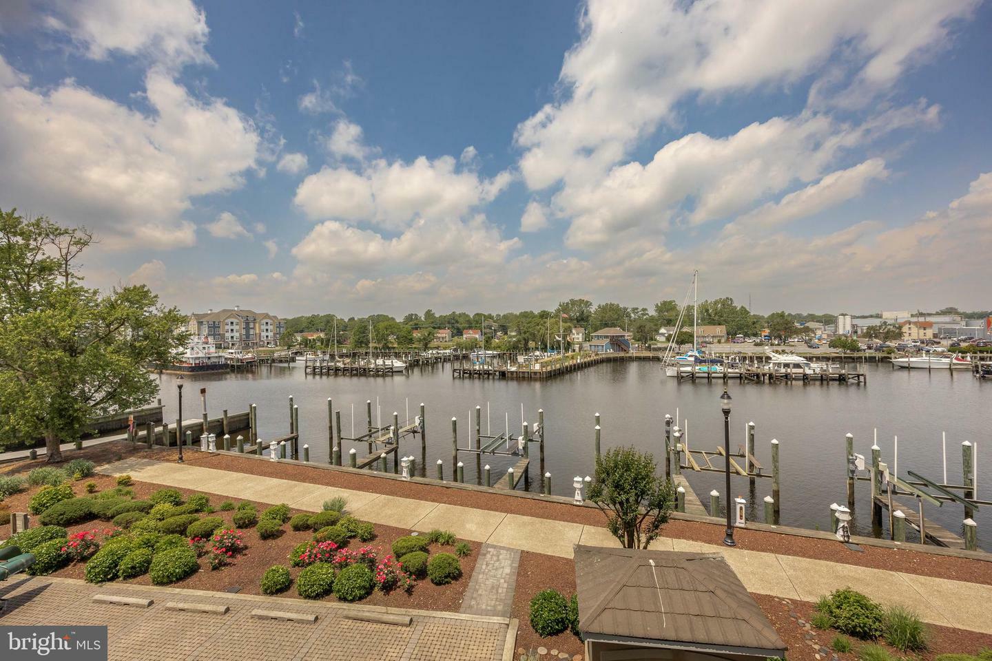 530 Riverside Drive 202  Salisbury MD 21801 photo