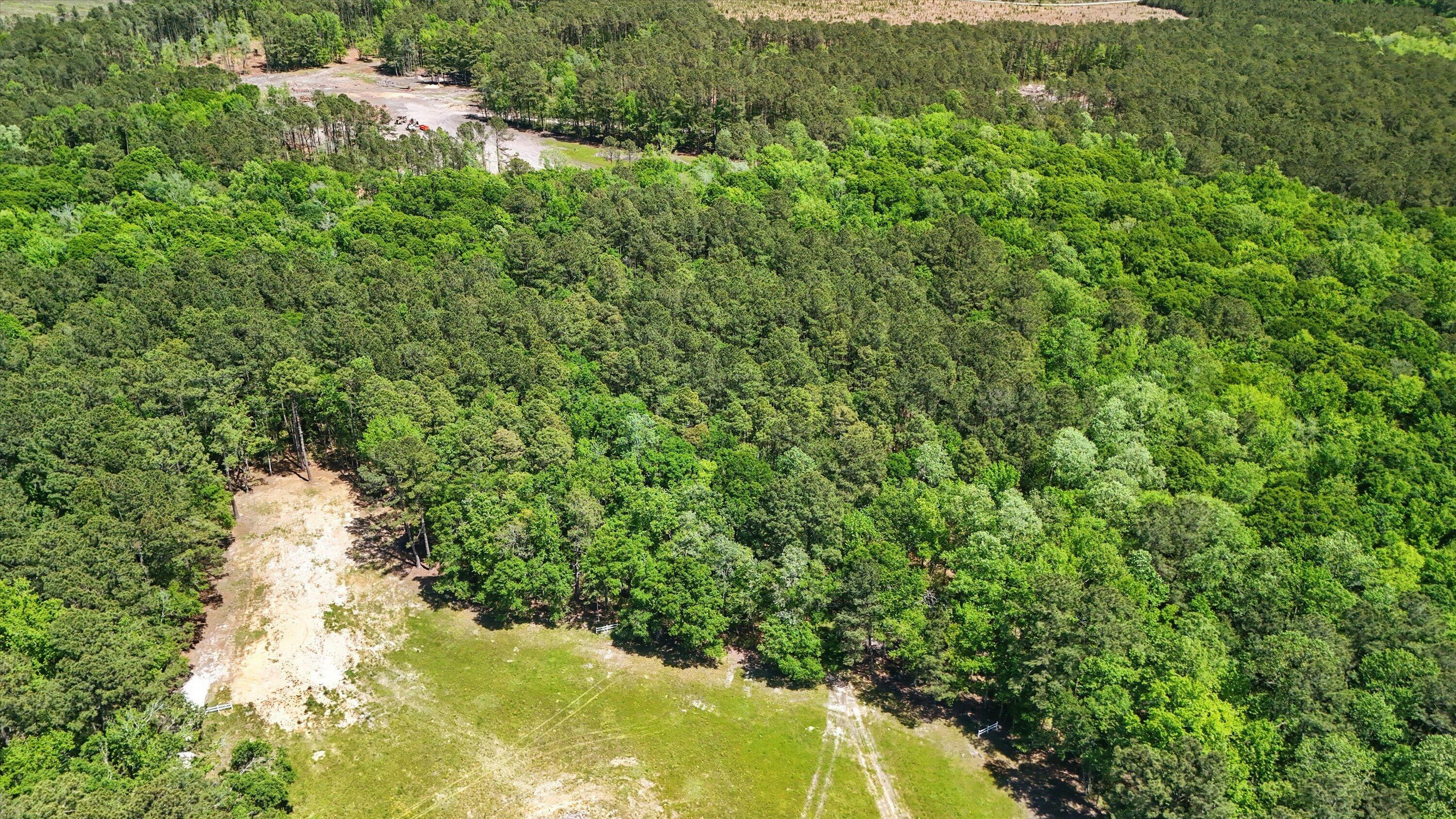 Property Photo:  384 Fish Road Estates Lane  SC 29472 