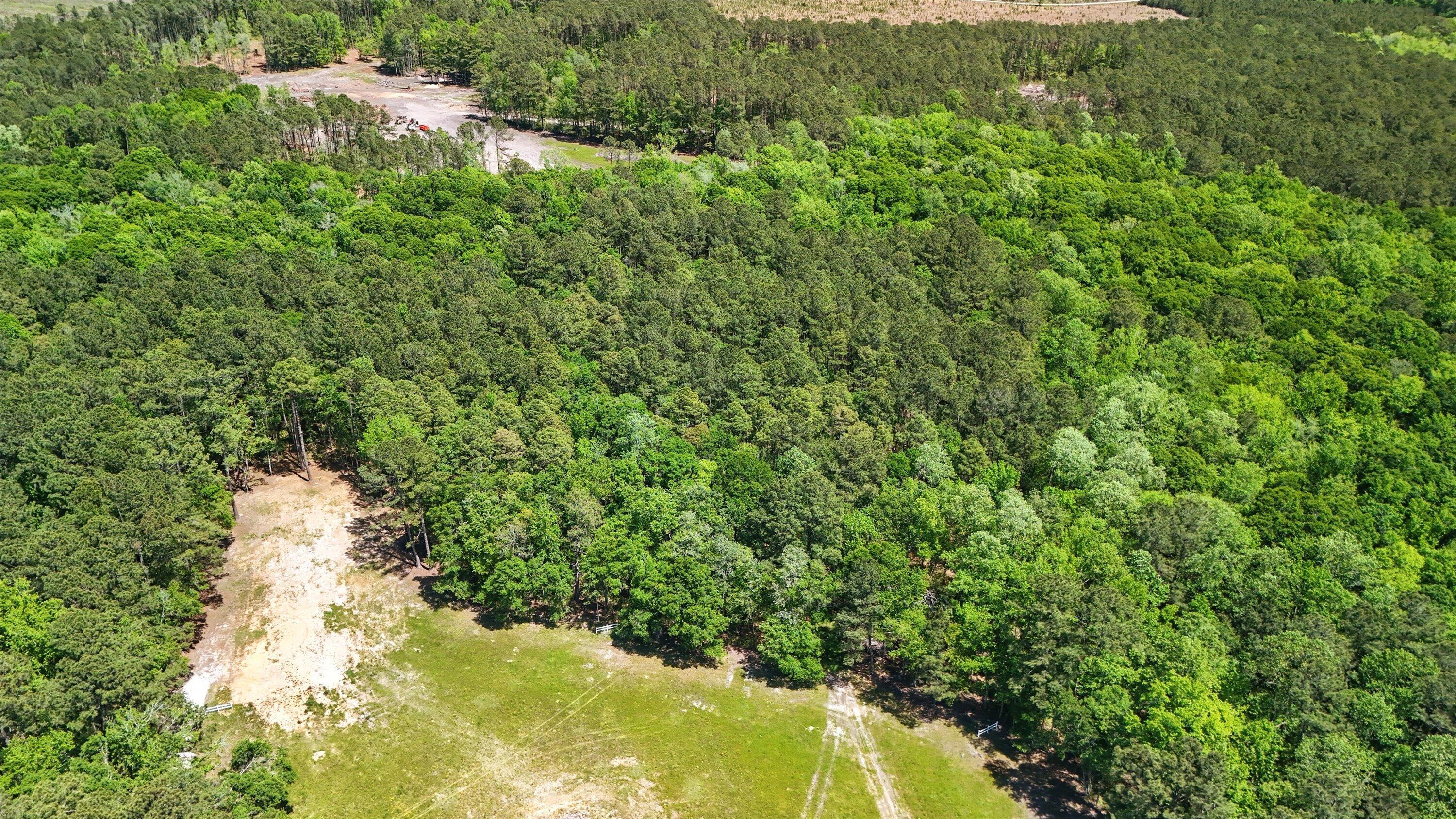 Property Photo:  384 Fish Road Estates Lane  SC 29472 