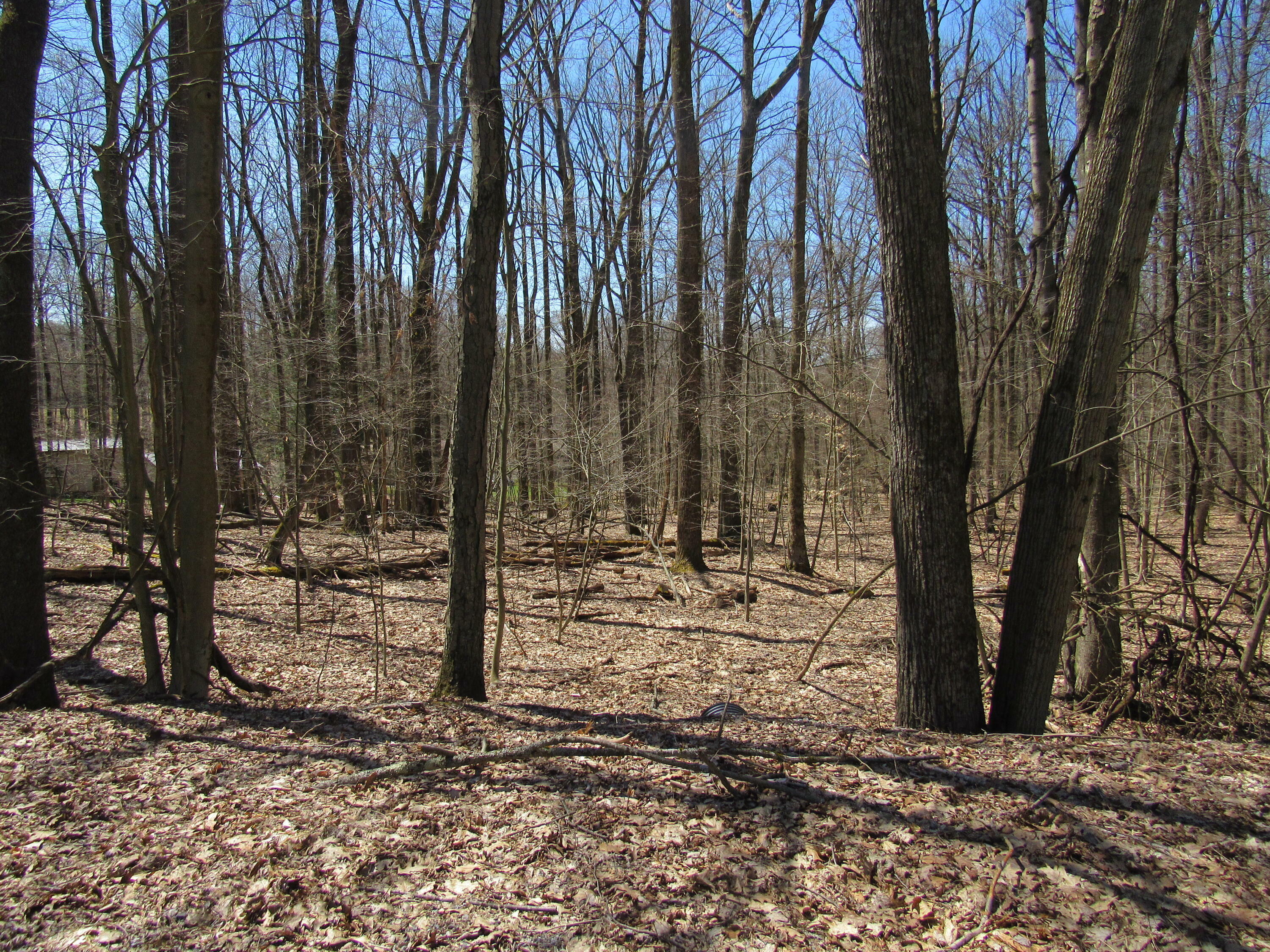 Property Photo: 12 Hastings Rd PA 15801