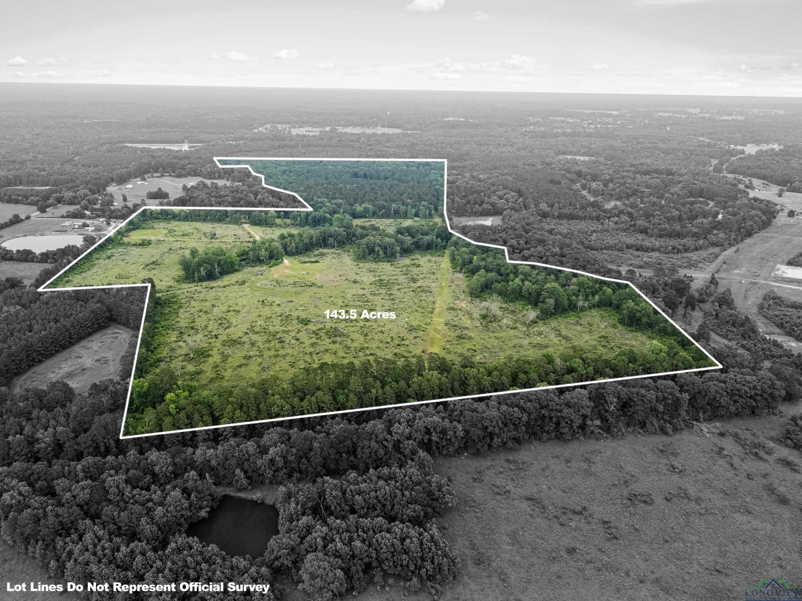 Property Photo: Tbd County Rd 206 TX 75633