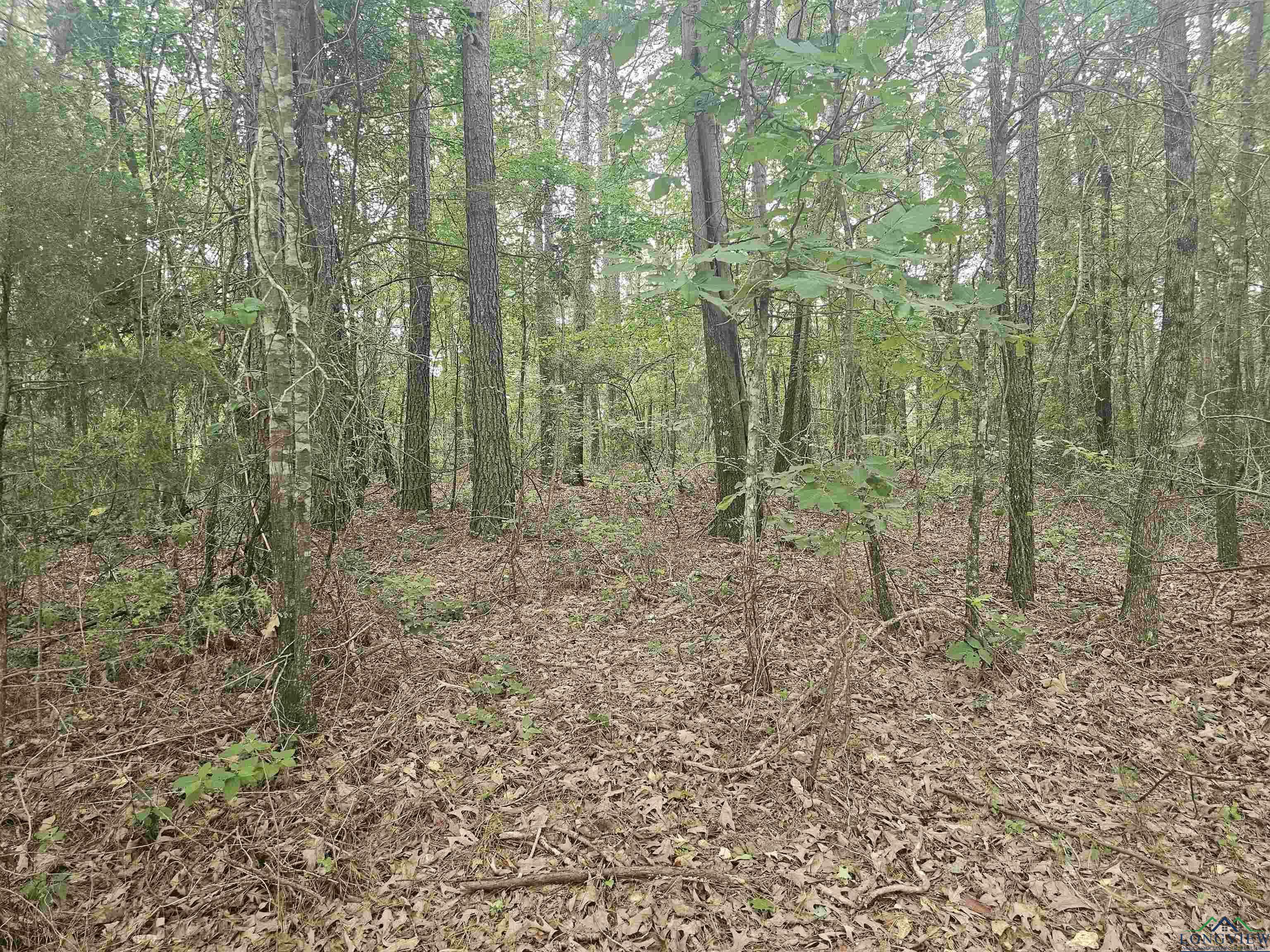 Property Photo: Tbd Long John Rd. TX 75672