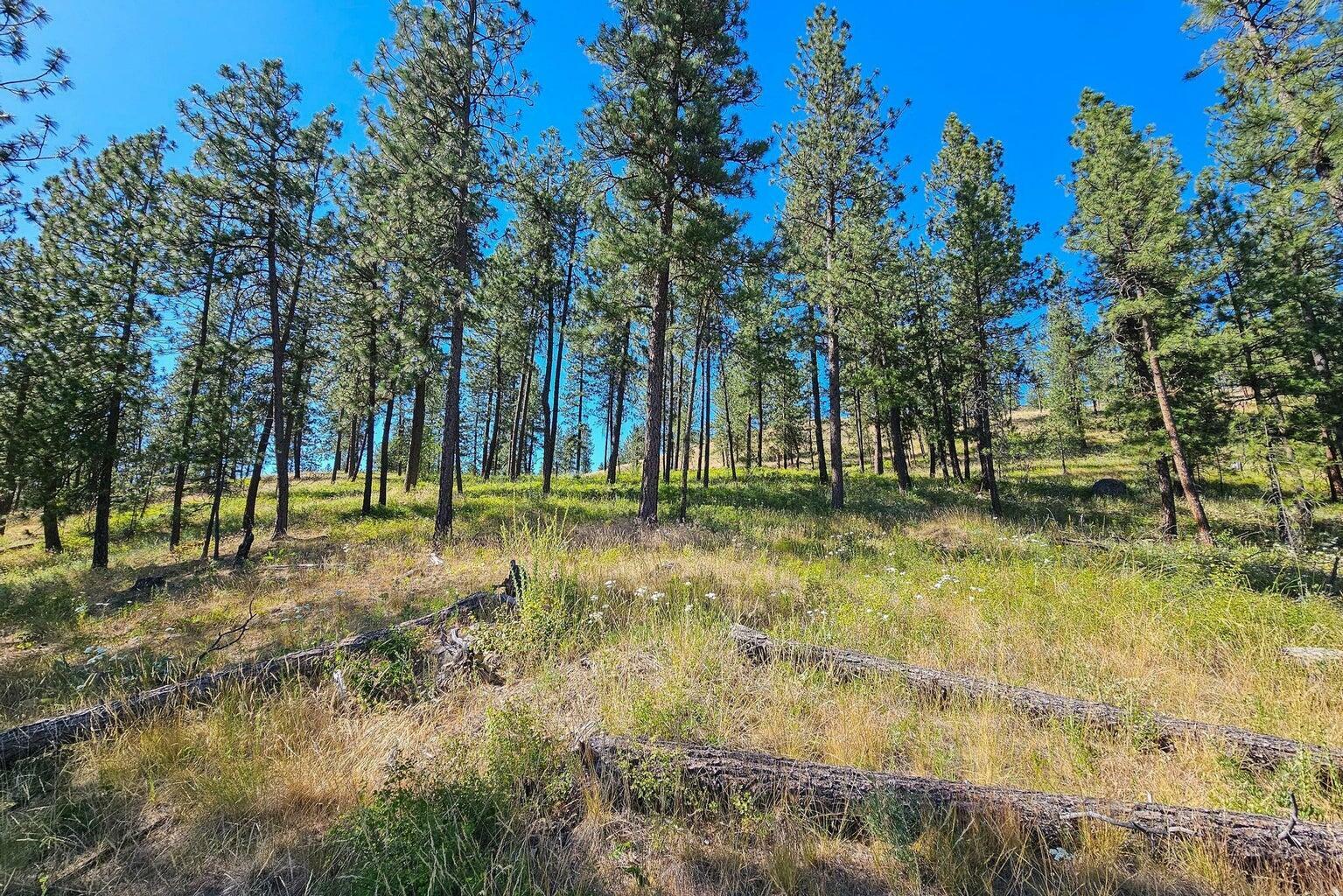 Property Photo: 721 Palmer Ln WA 99109