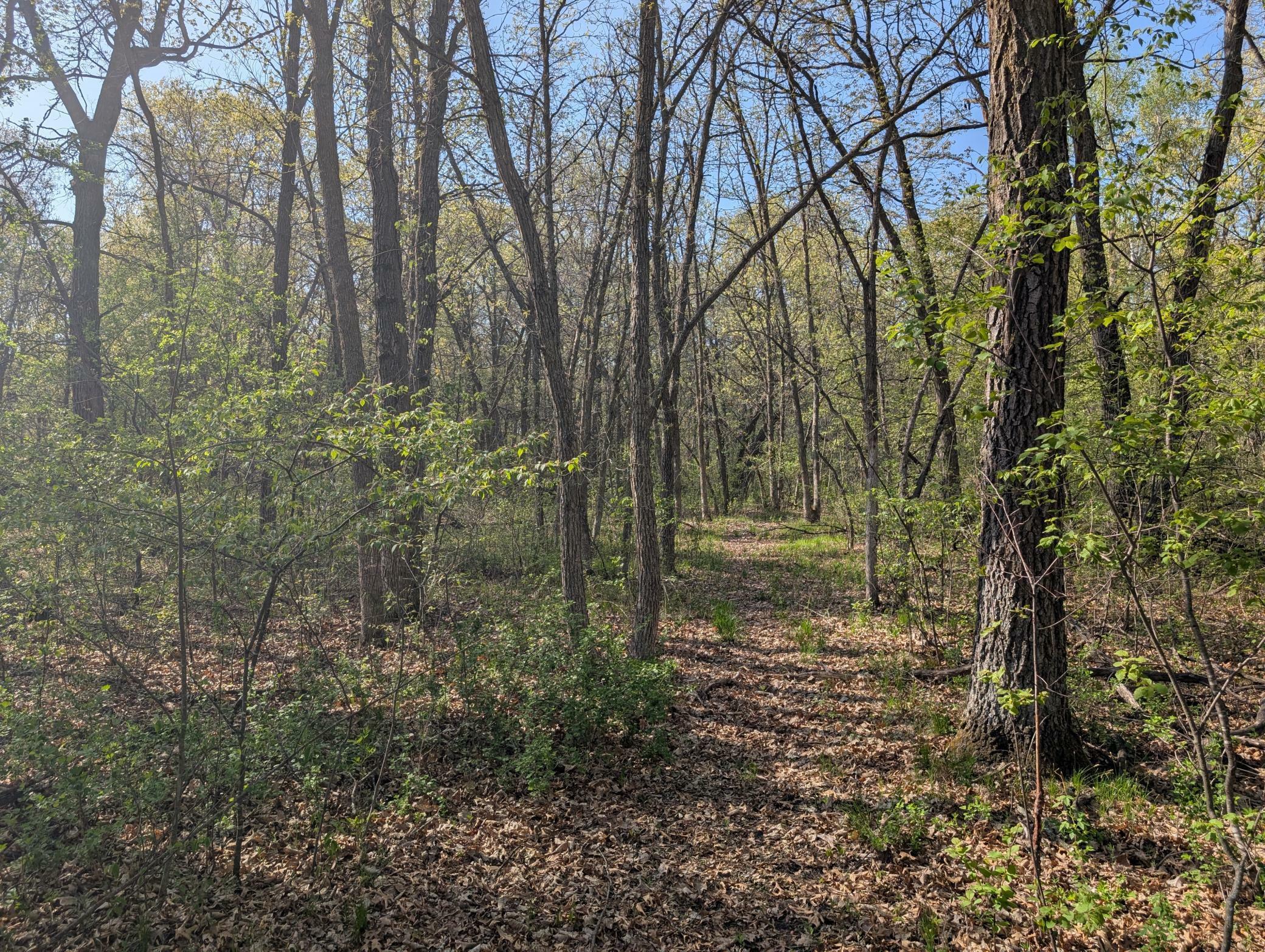 Property Photo: Tbdx Arbor Lane SW MN 56473