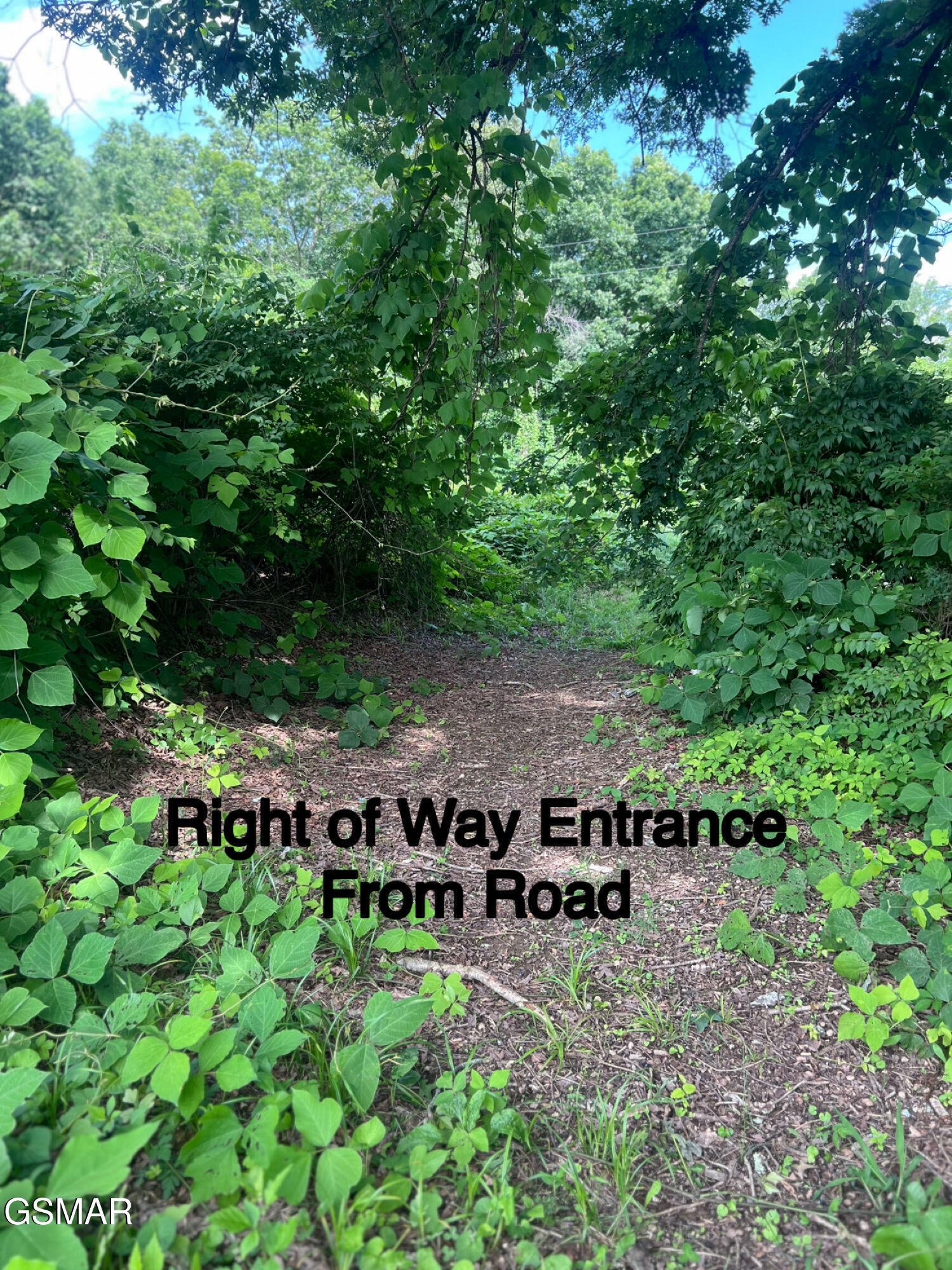 Property Photo: Tbd Friends Station Rd Road TN 37820
