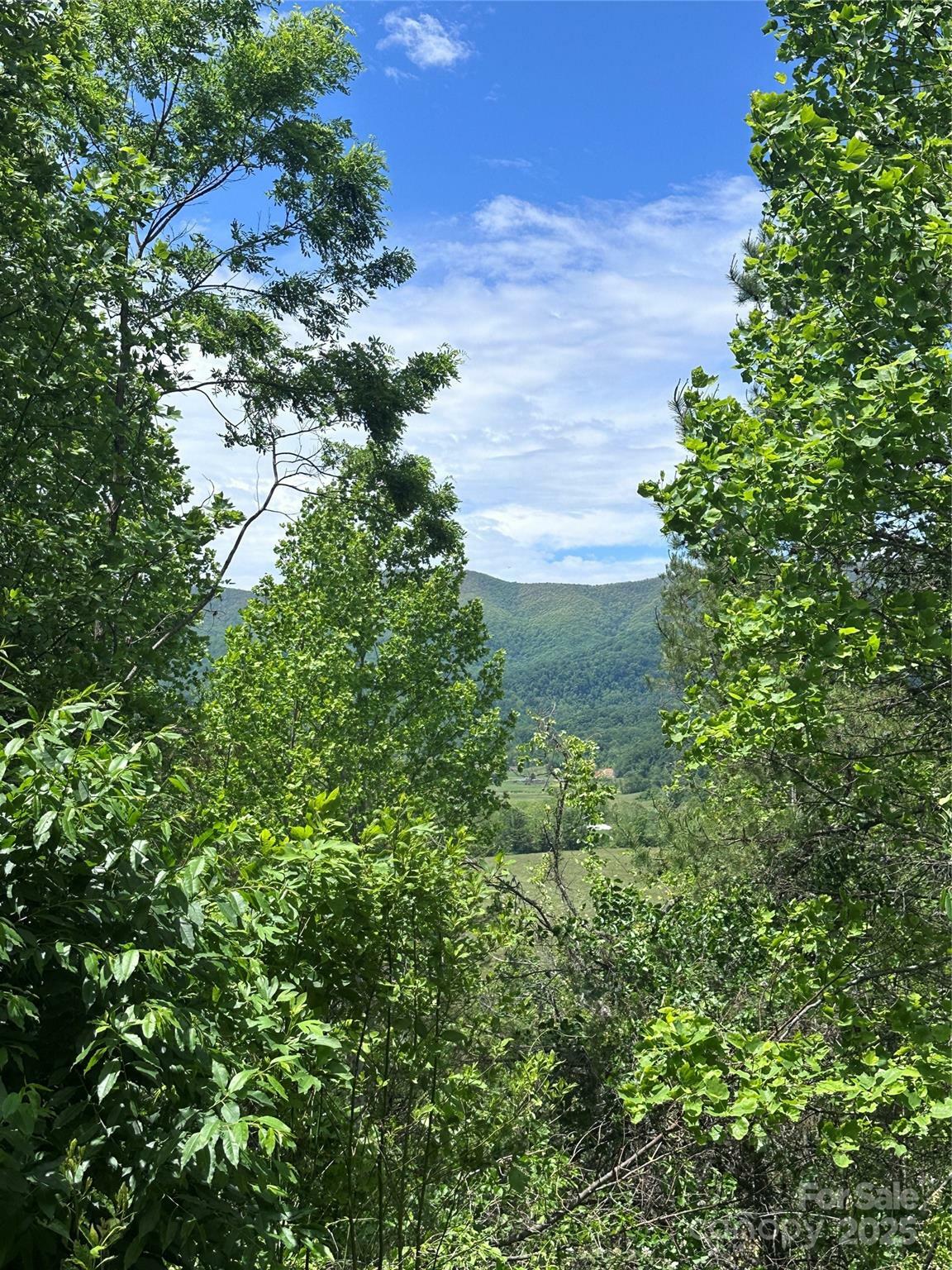 Property Photo: 99999 Hendl Way NC 28748