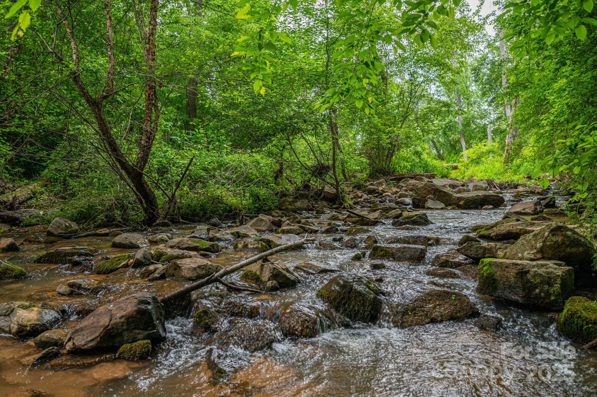 Property Photo: 000 Wells Road NC 28168