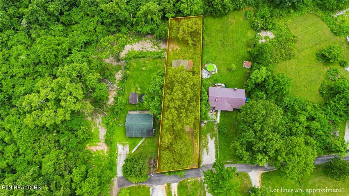 Property Photo: 218 Hillside Drive TN 37766