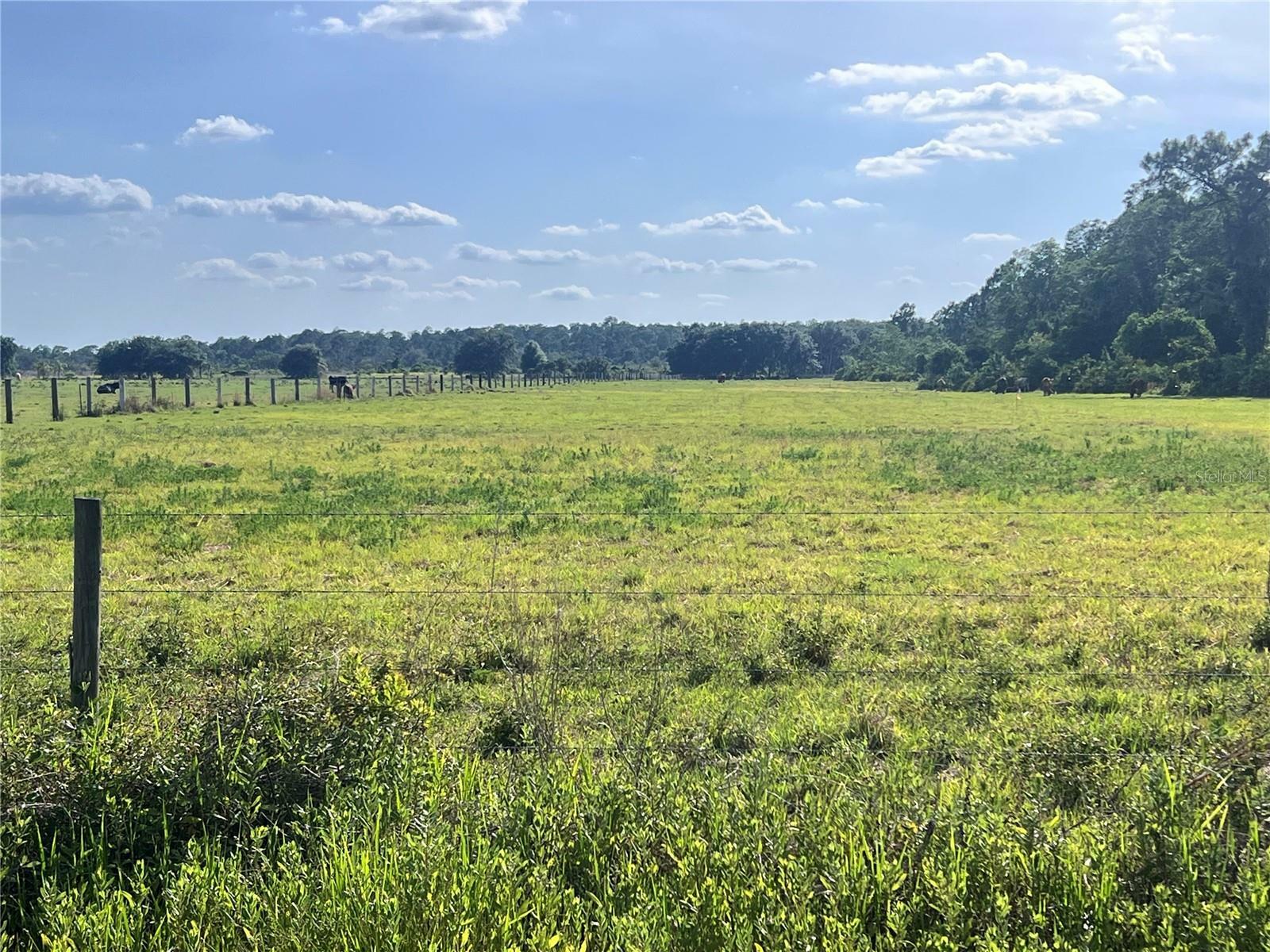 Property Photo: Old Grade Road FL 33868