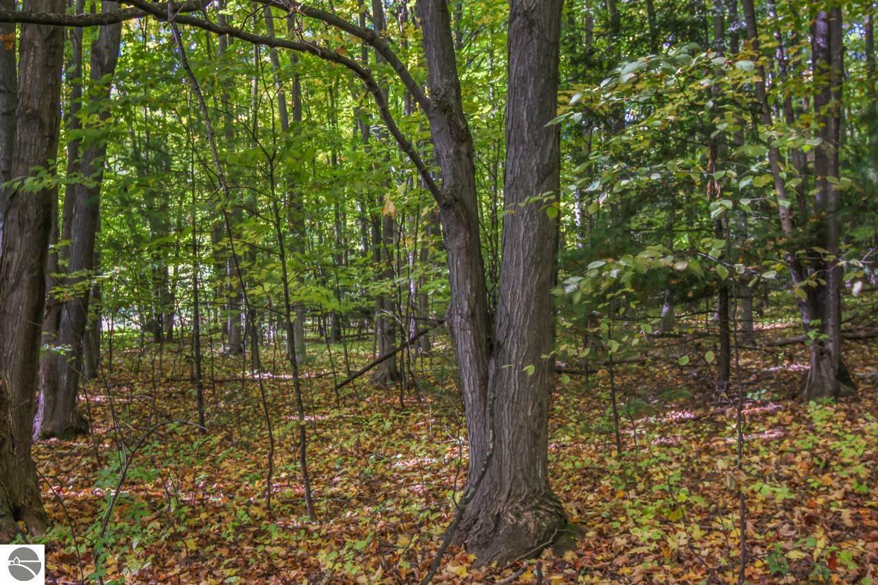 Property Photo: Vl Bay Valley Drive MI 49690