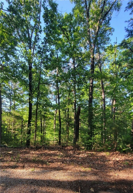 Property Photo:  Severn Lane  AR 72715 