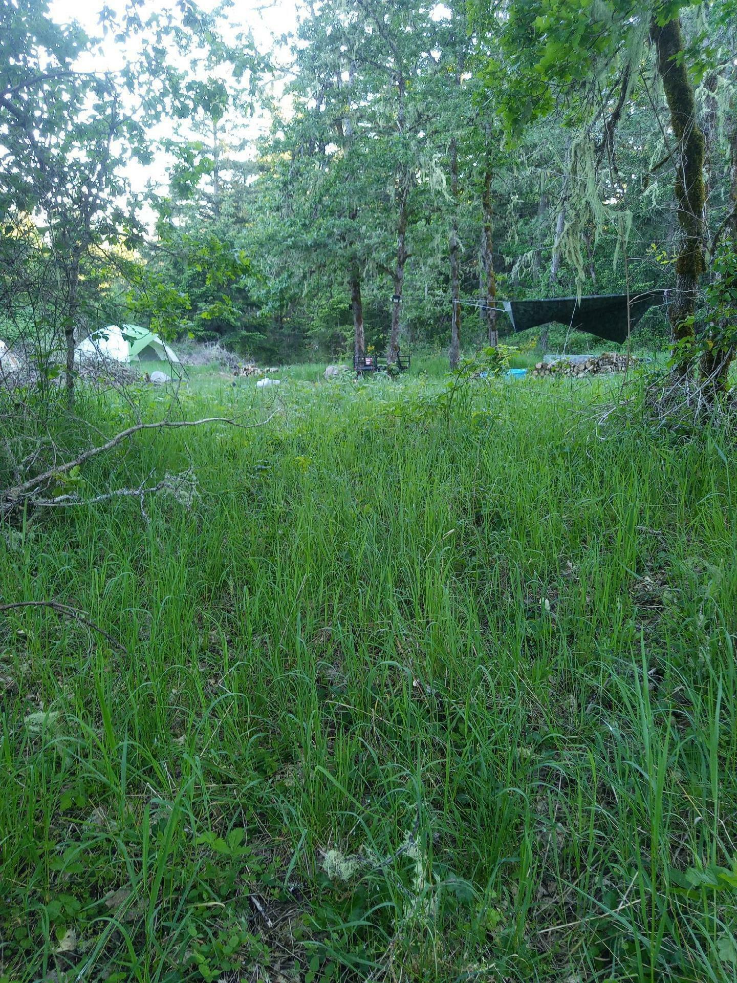 Property Photo:  Old Hwy 99 N  OR 97479 